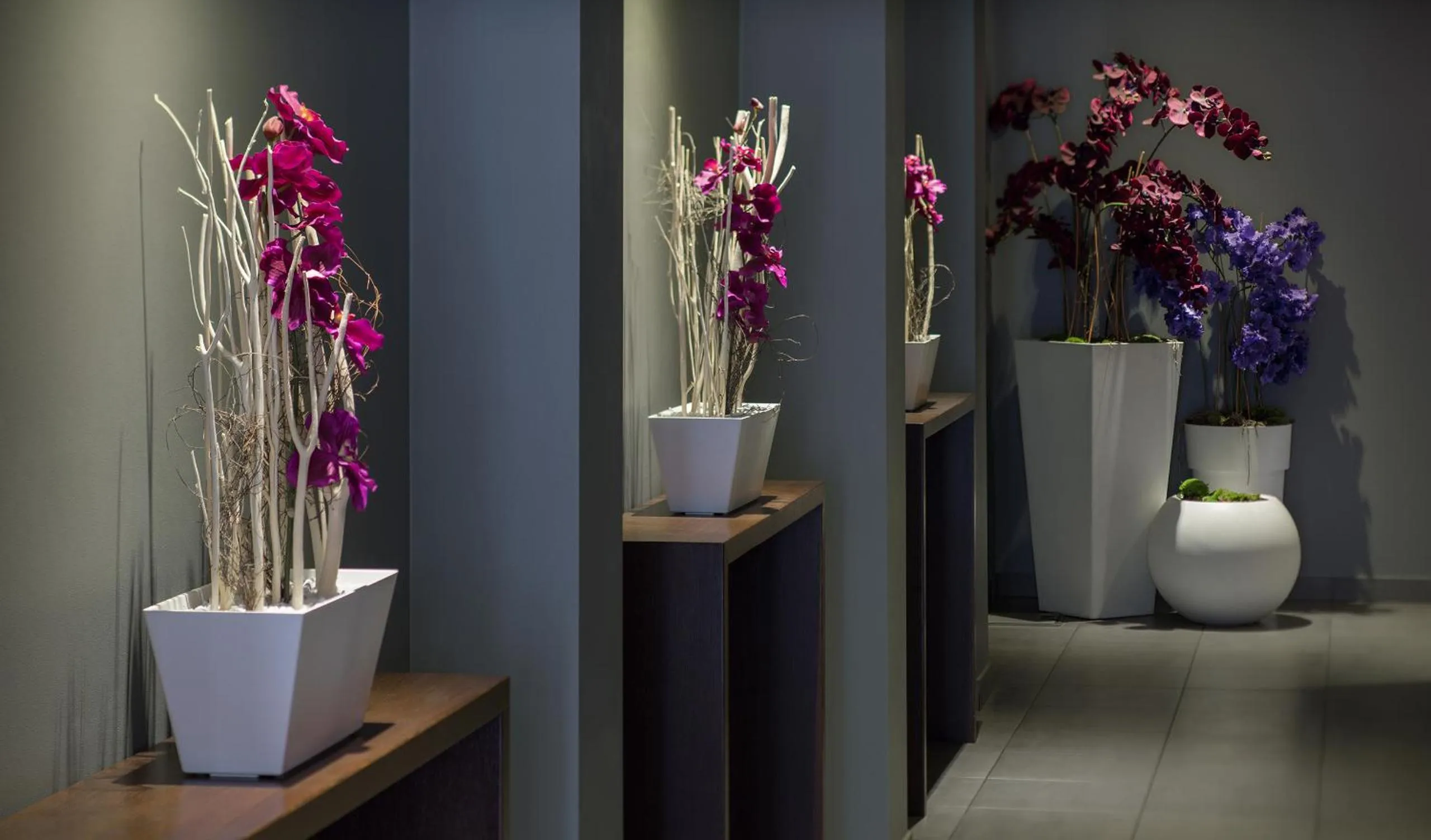 Lobby or reception in Dodo Hotel