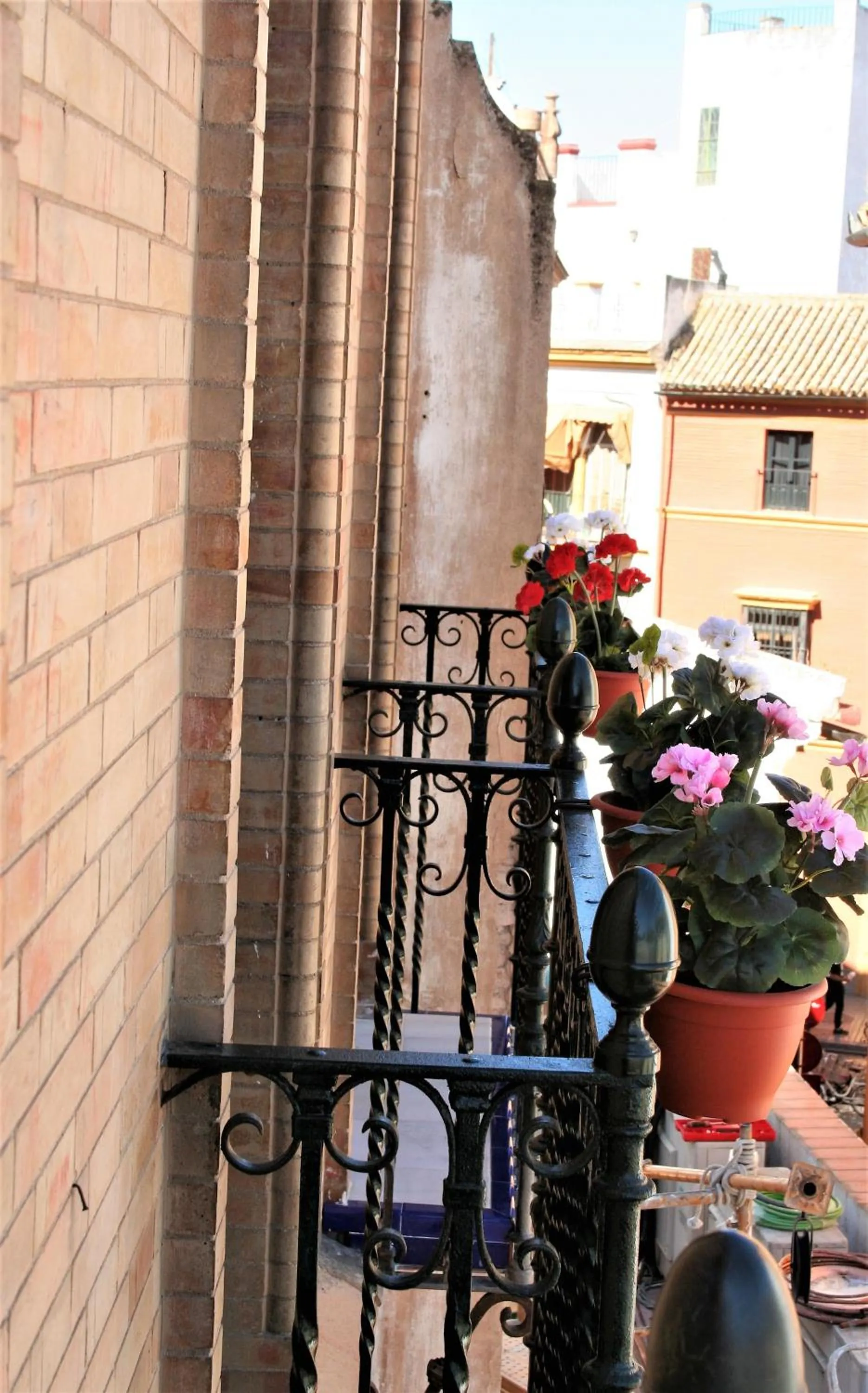 Decorative detail in nüa cicerone