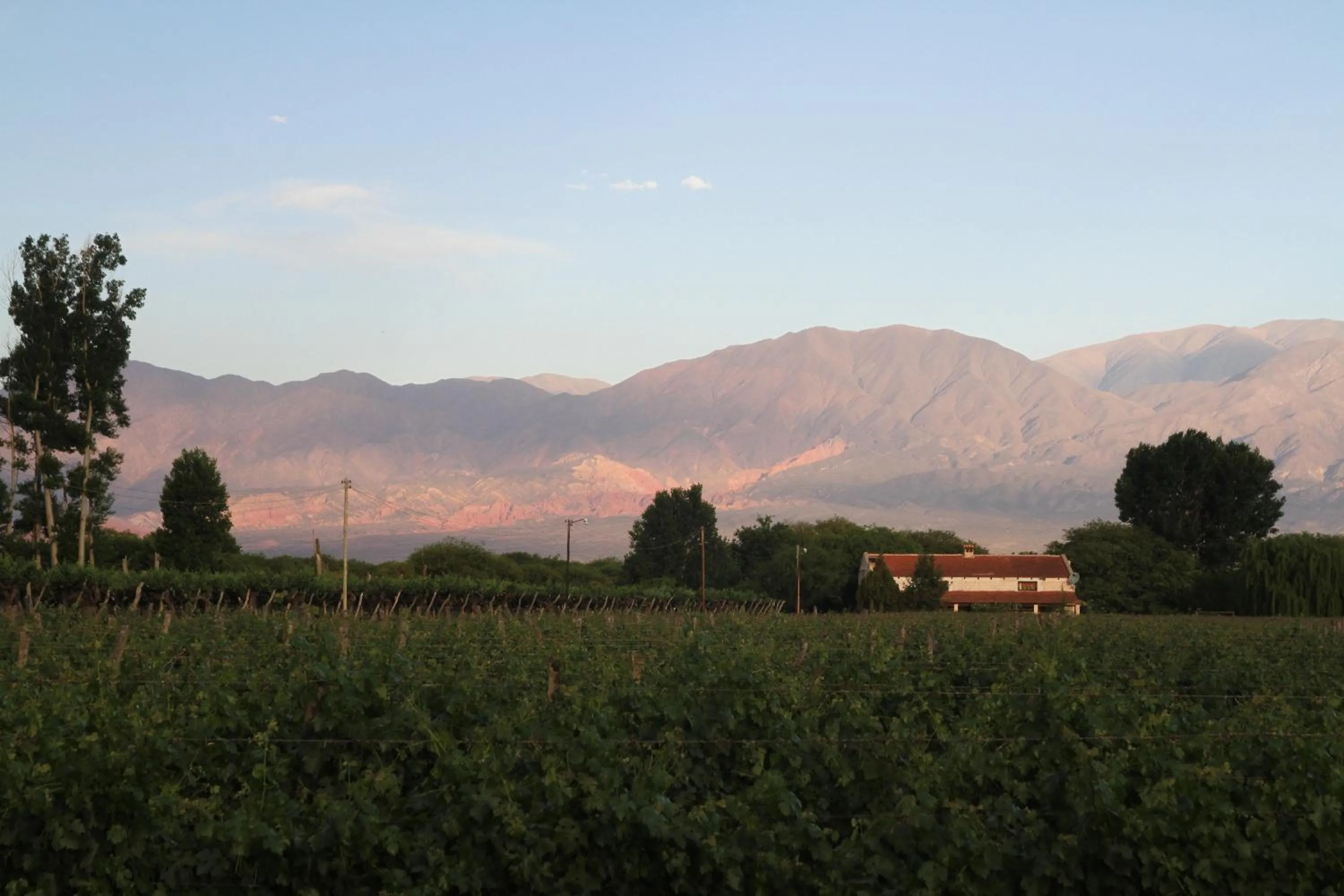 Natural landscape in Patios de Cafayate - Wine Hotel & Restaurant