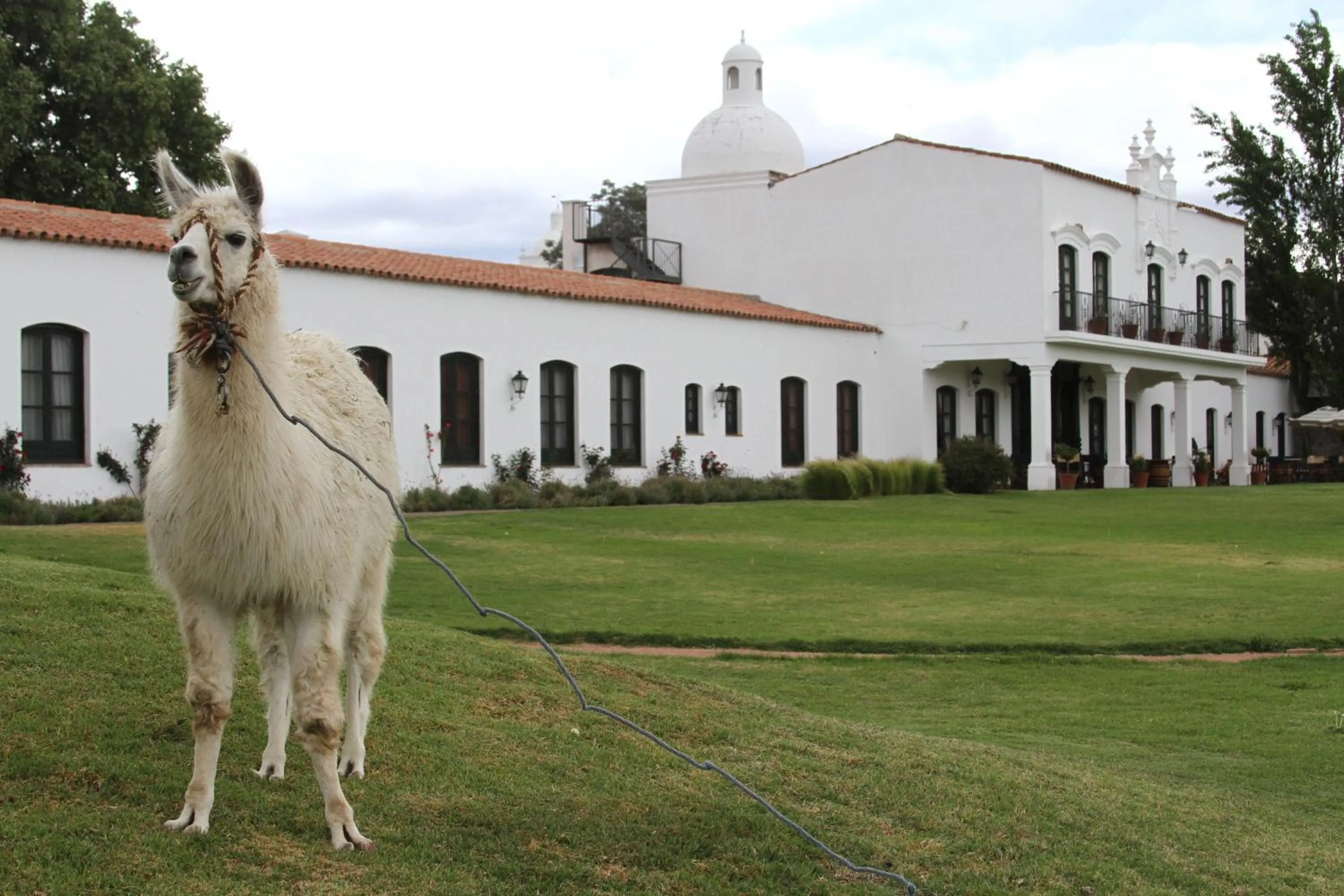 Property building in Patios de Cafayate - Wine Hotel & Restaurant