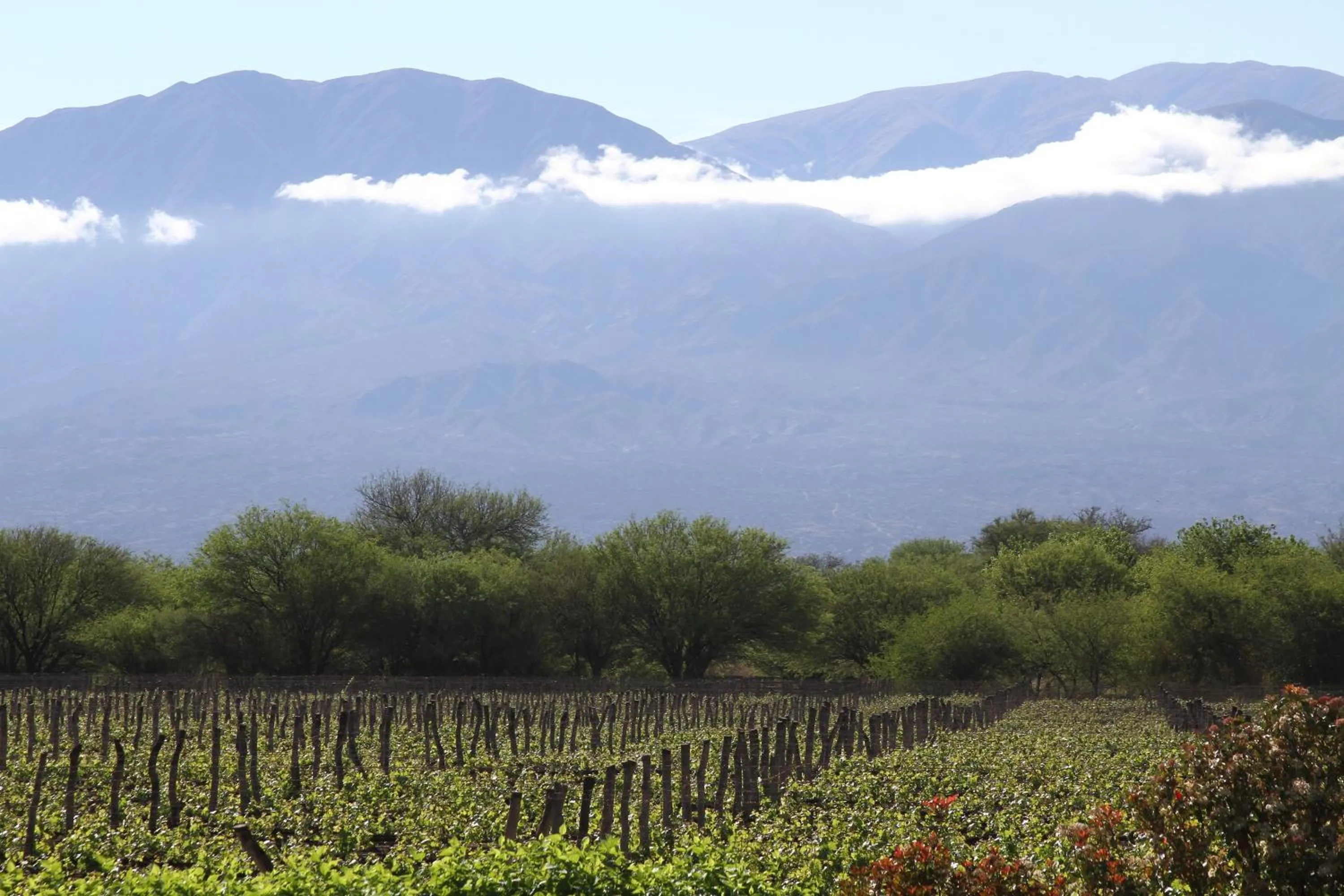 Day in Patios de Cafayate - Wine Hotel & Restaurant