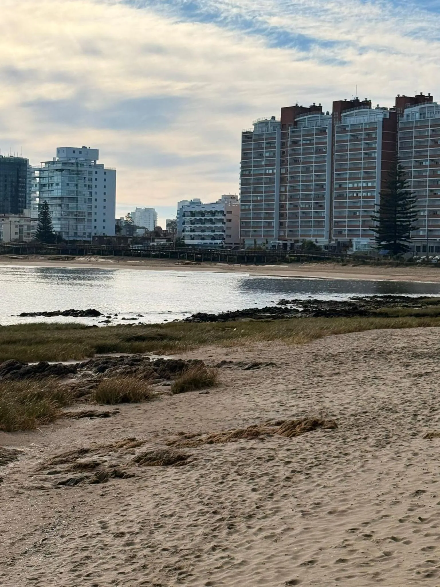 Natural landscape in Punta del Este Shelton Hotel