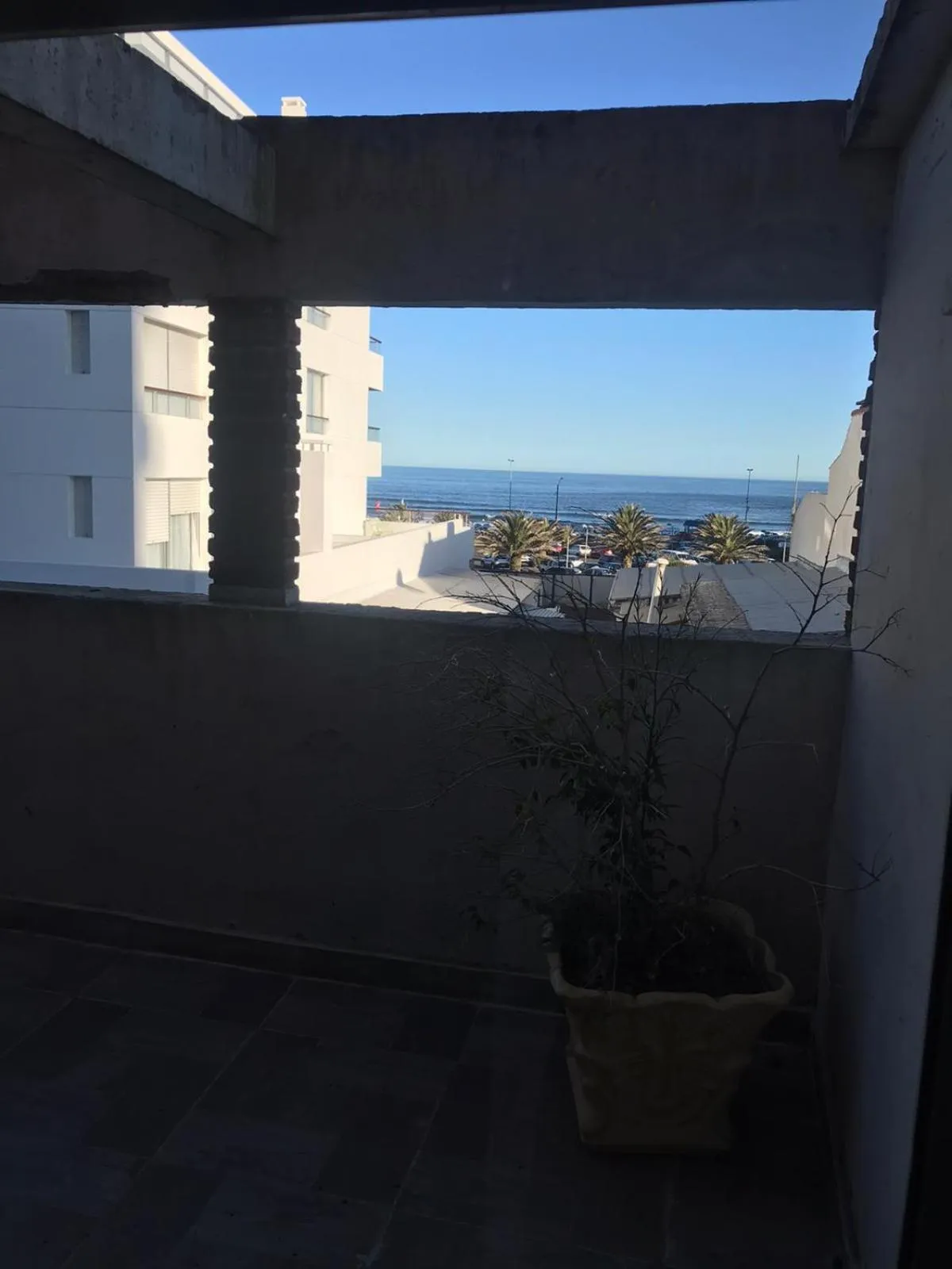 View (from property/room) in Punta del Este Shelton Hotel