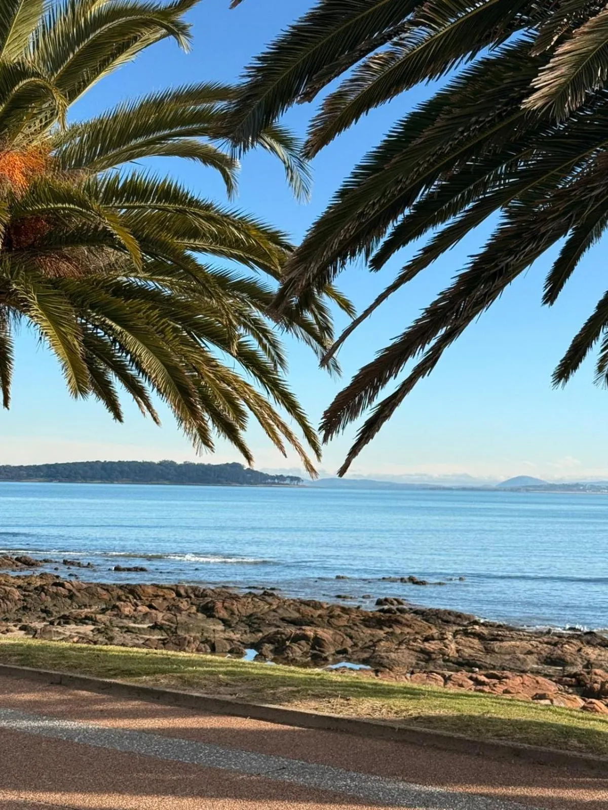 Natural landscape in Punta del Este Shelton Hotel
