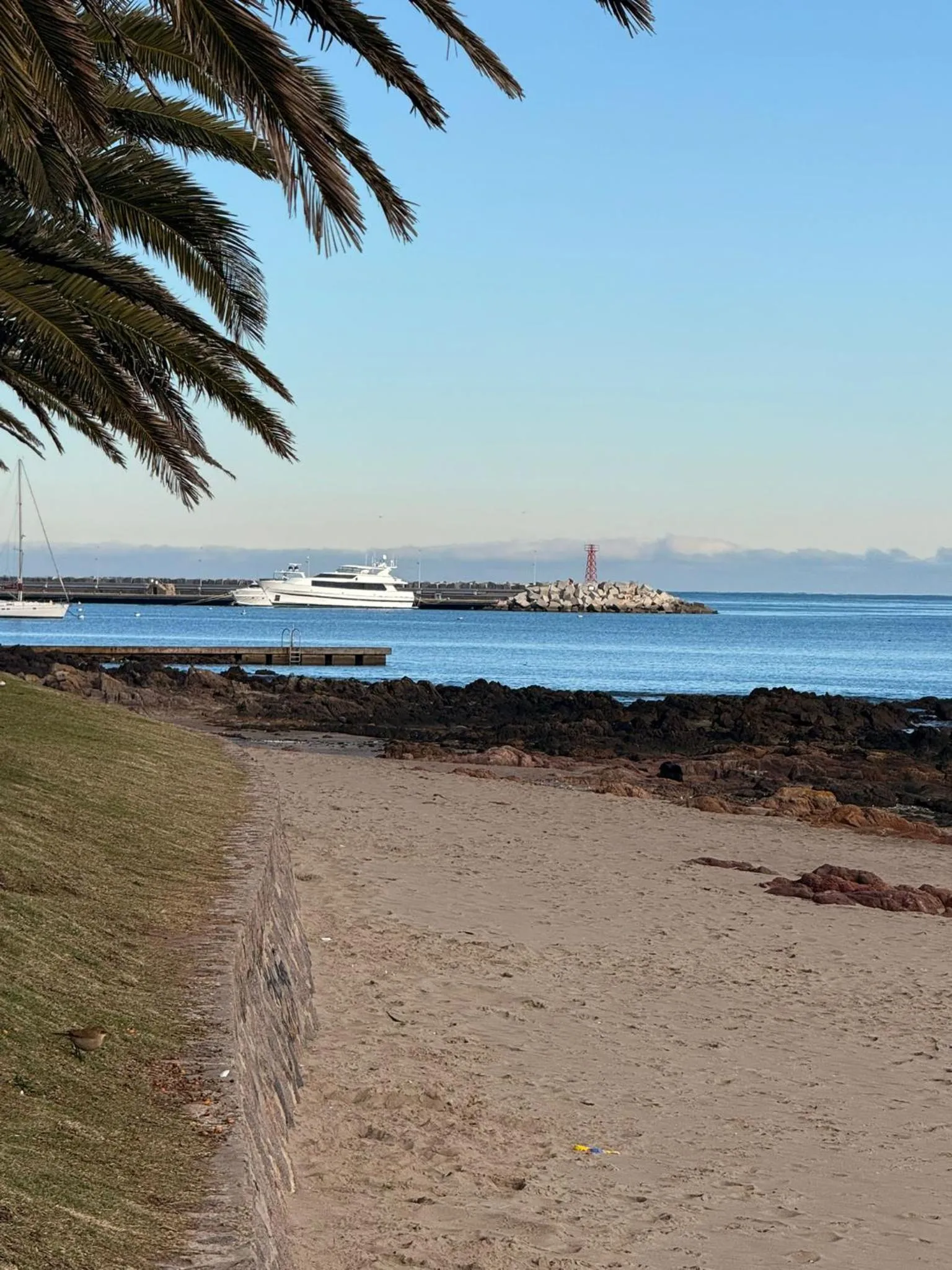 Natural landscape in Punta del Este Shelton Hotel