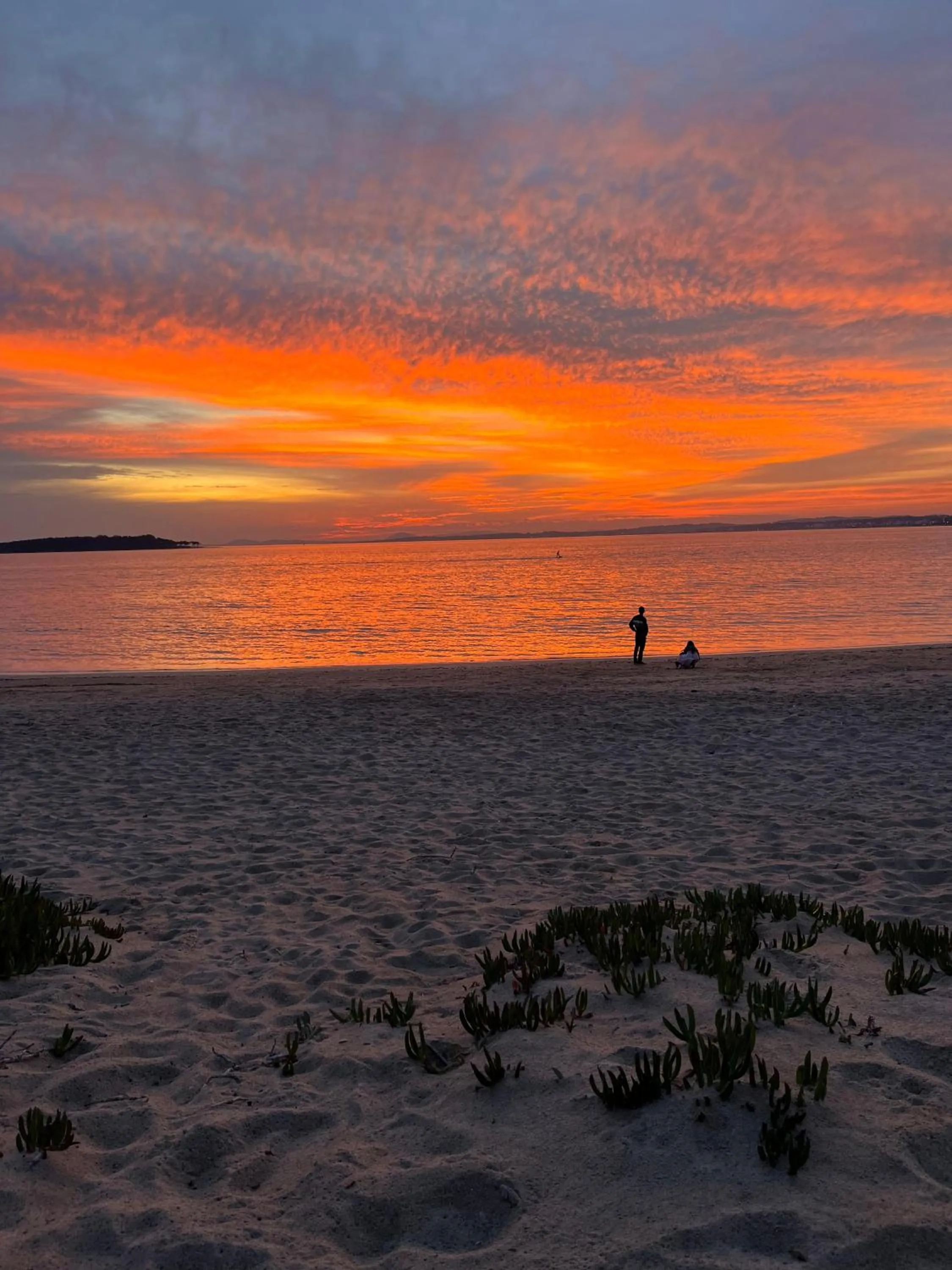 Natural landscape in Punta del Este Shelton Hotel