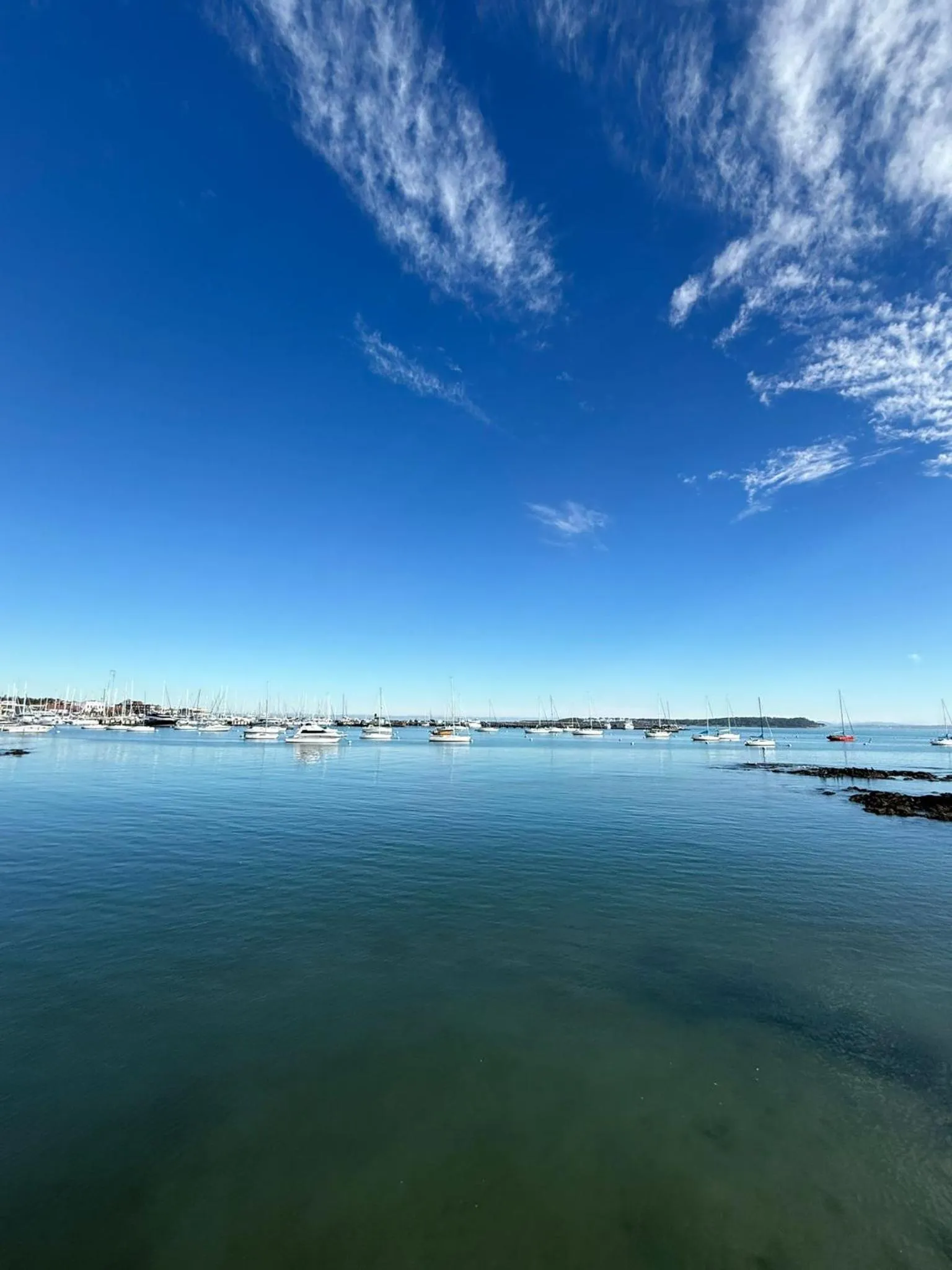 Natural landscape in Punta del Este Shelton Hotel
