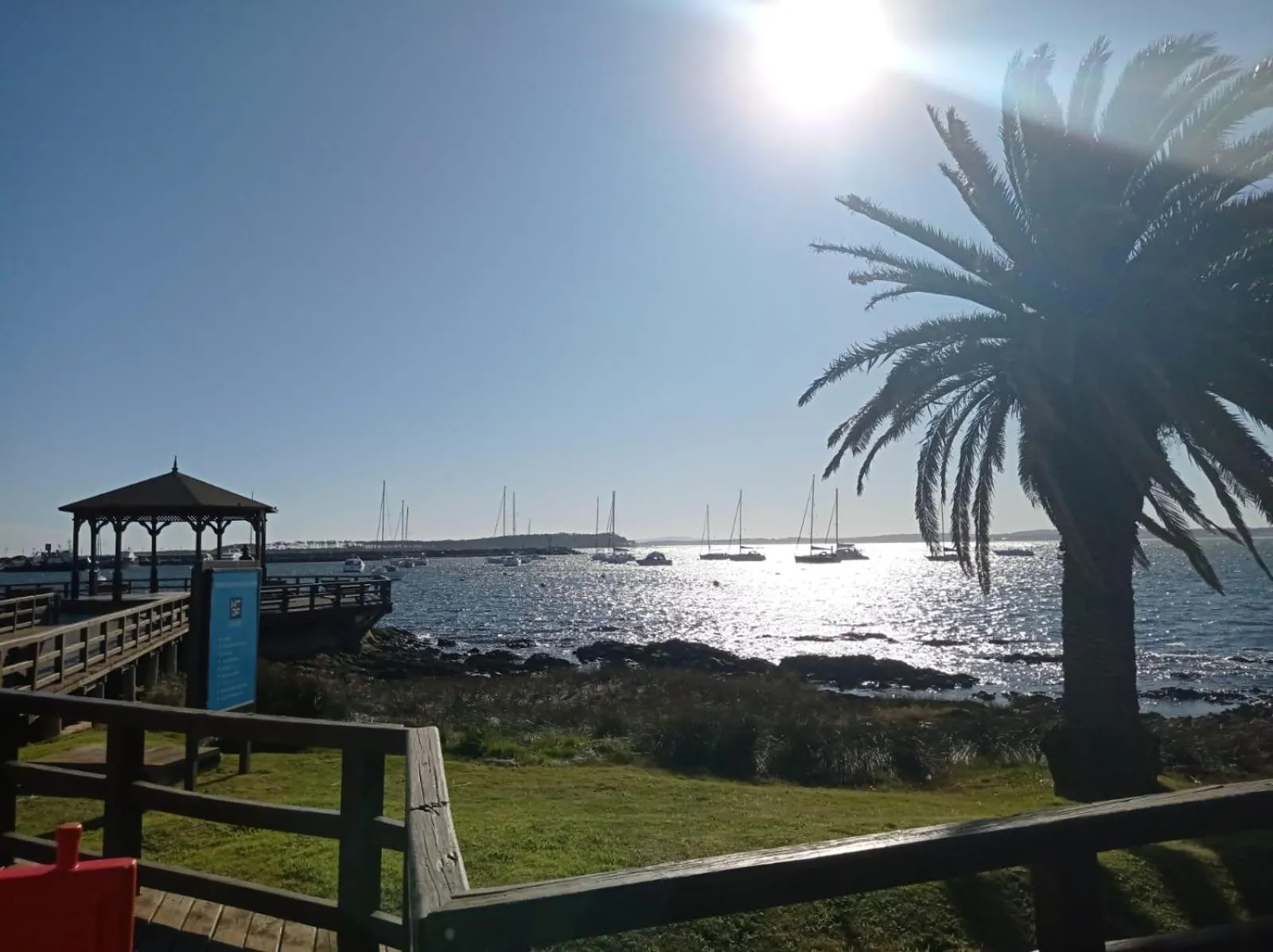 Natural landscape in Punta del Este Shelton Hotel