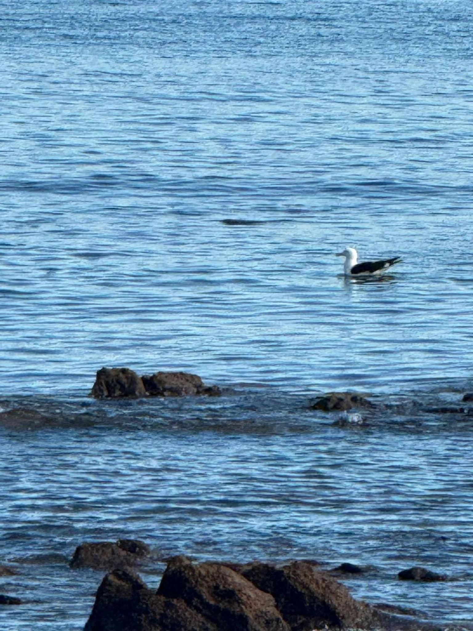 Natural landscape in Punta del Este Shelton Hotel