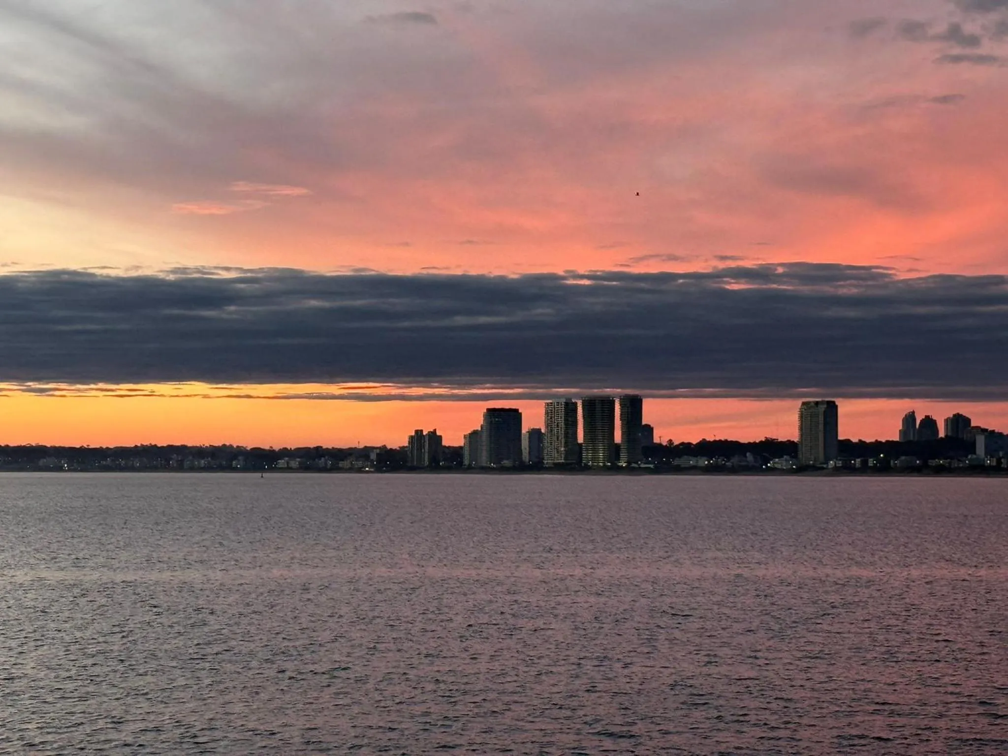 Natural landscape in Punta del Este Shelton Hotel