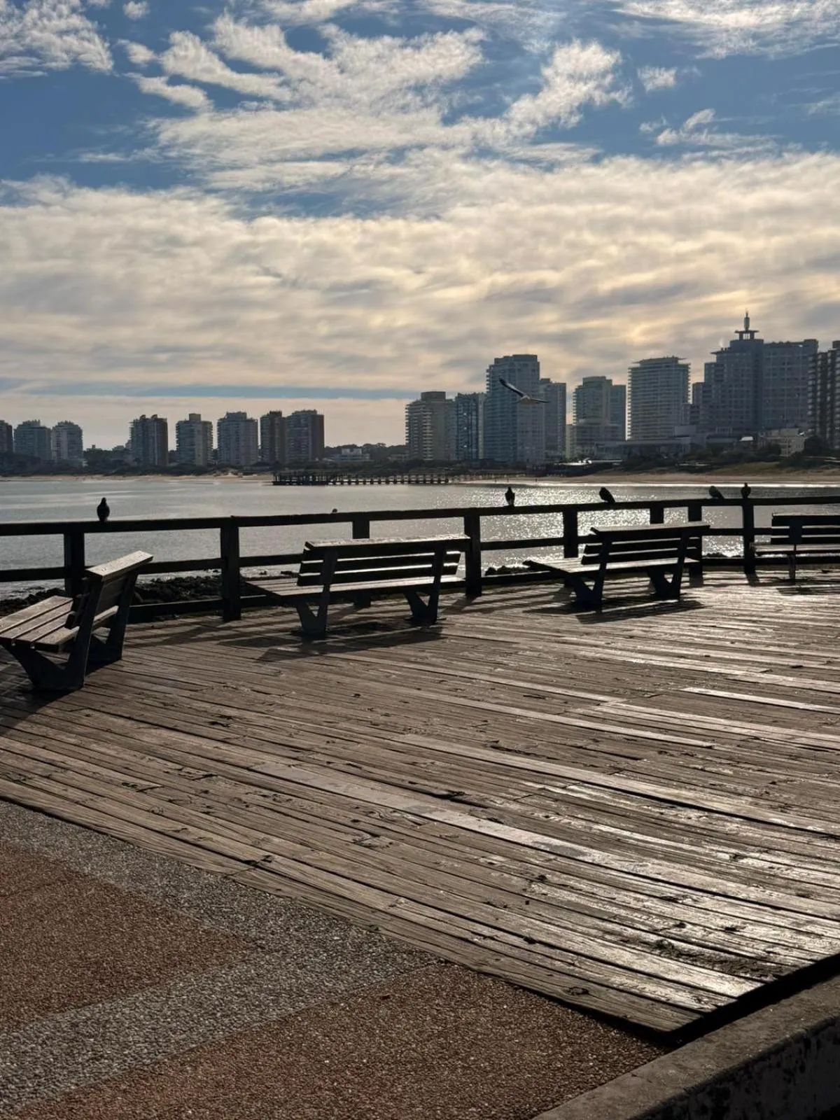 Natural landscape in Punta del Este Shelton Hotel