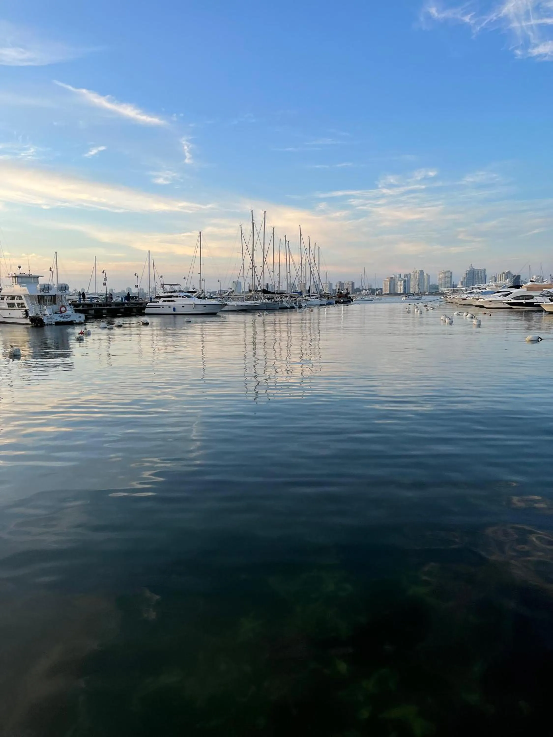 Natural landscape in Punta del Este Shelton Hotel