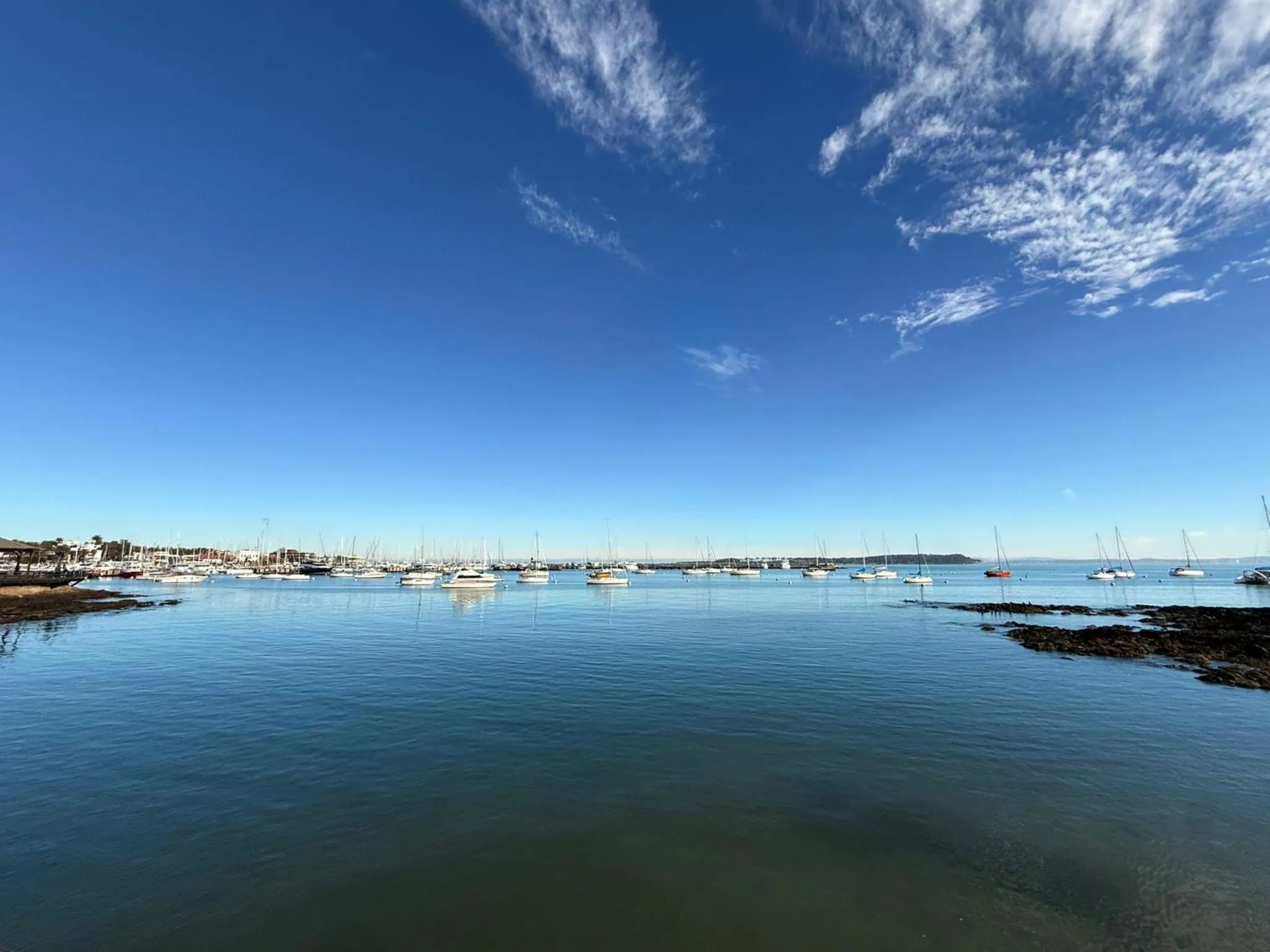 Natural landscape in Punta del Este Shelton Hotel