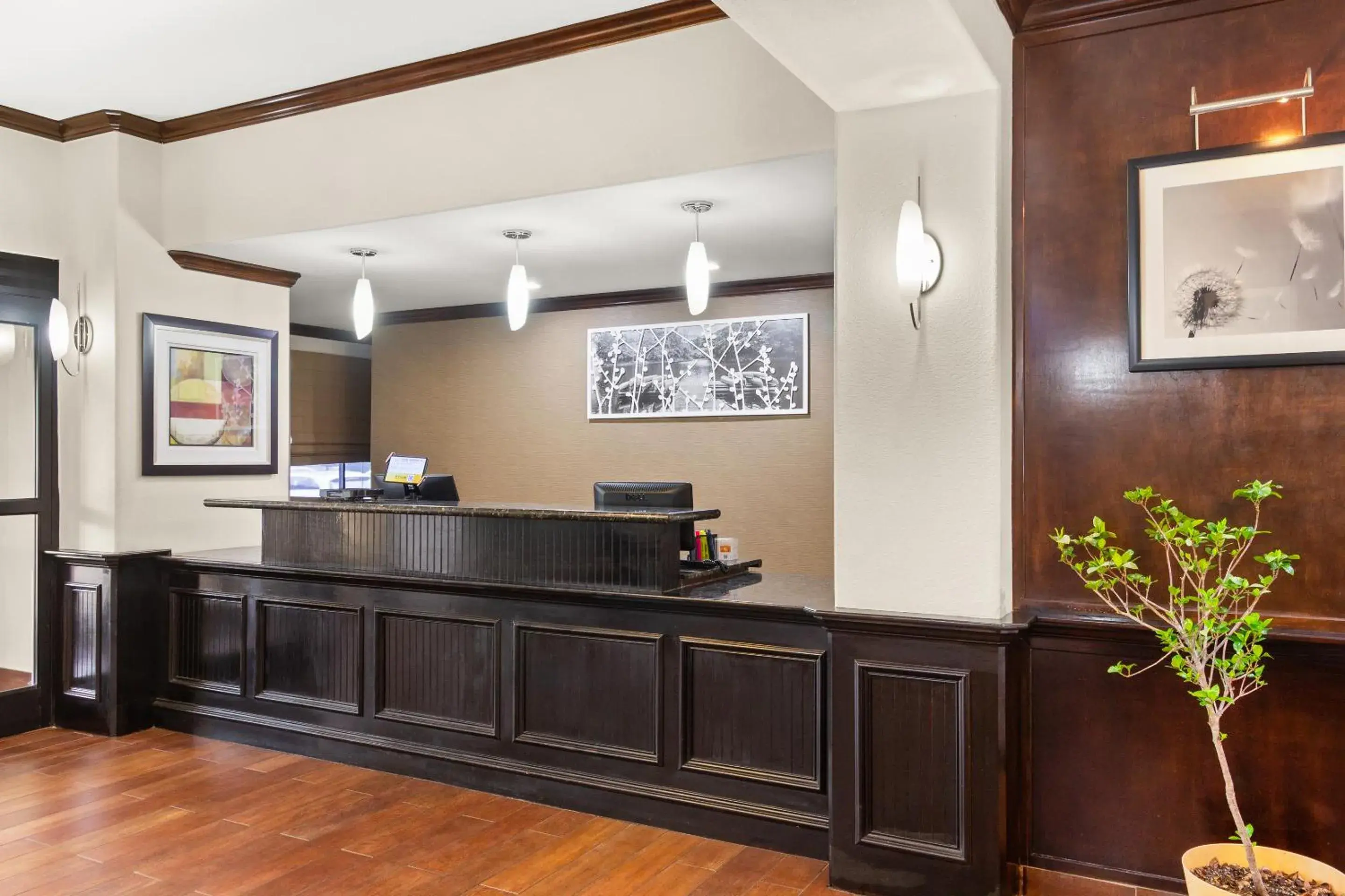 Lobby or reception in Sleep Inn & Suites Bush Intercontinental - IAH East Lobby or reception in Sleep Inn & Suites Bush Intercontinental - IAH East