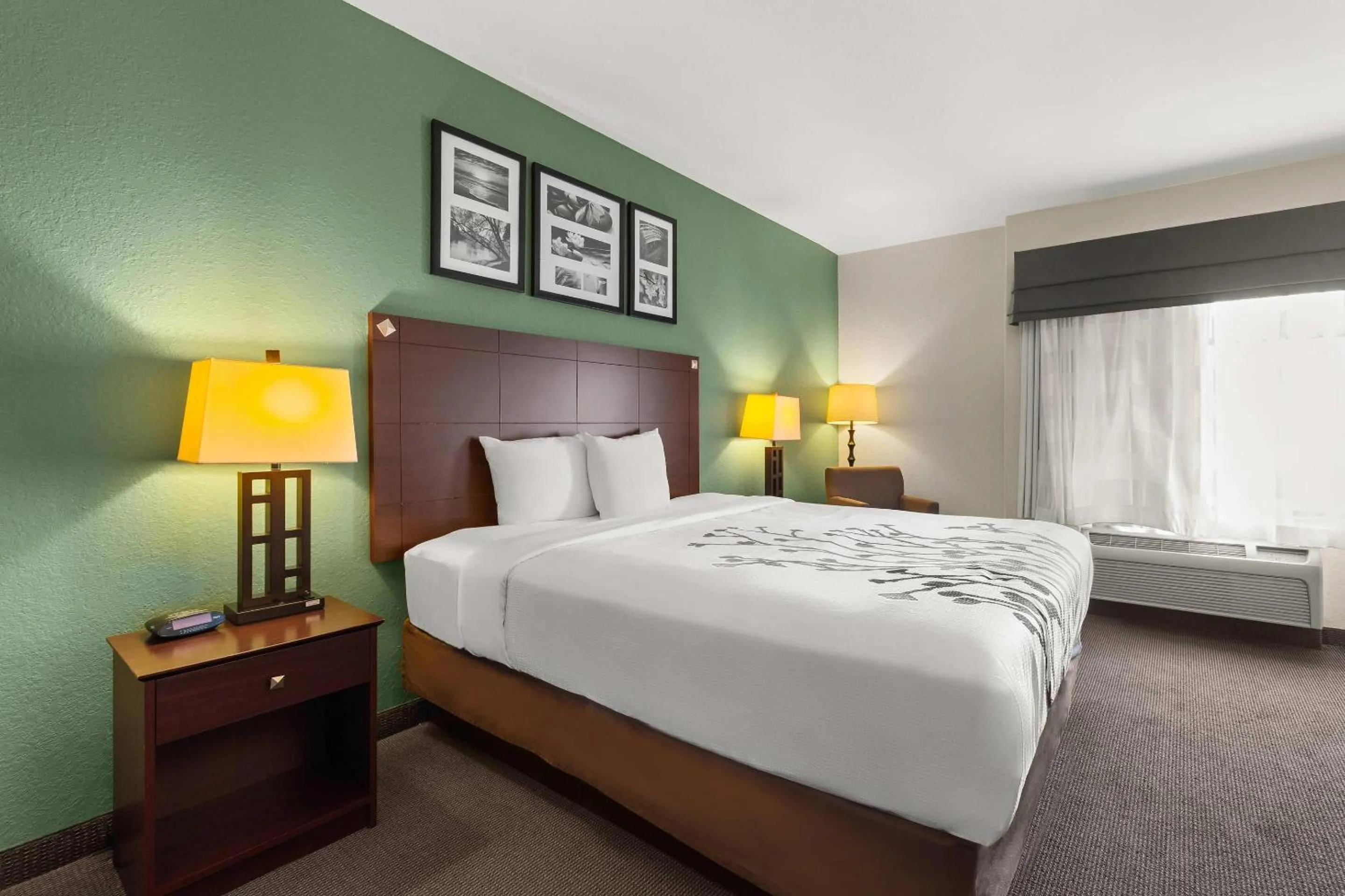 Bedroom, Bed in Sleep Inn & Suites Bush Intercontinental - IAH East