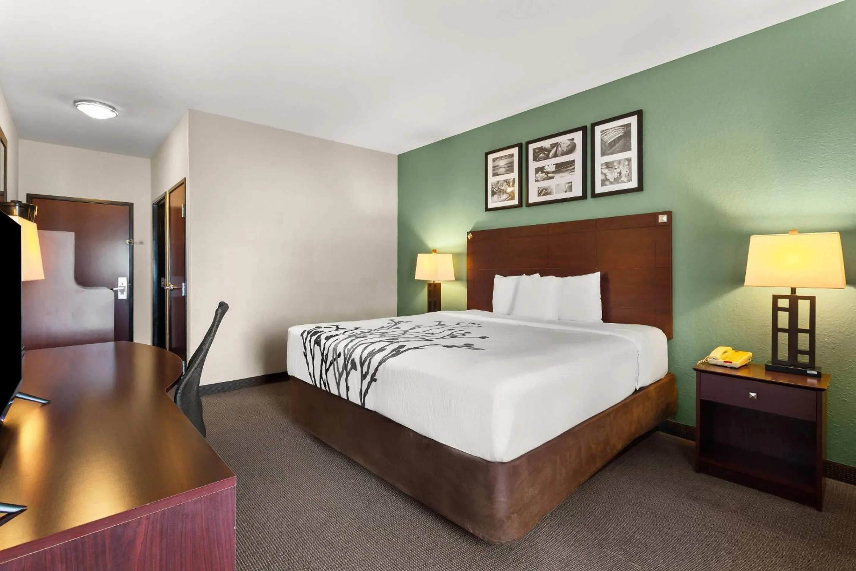 Bedroom, Bed in Sleep Inn & Suites Bush Intercontinental - IAH East