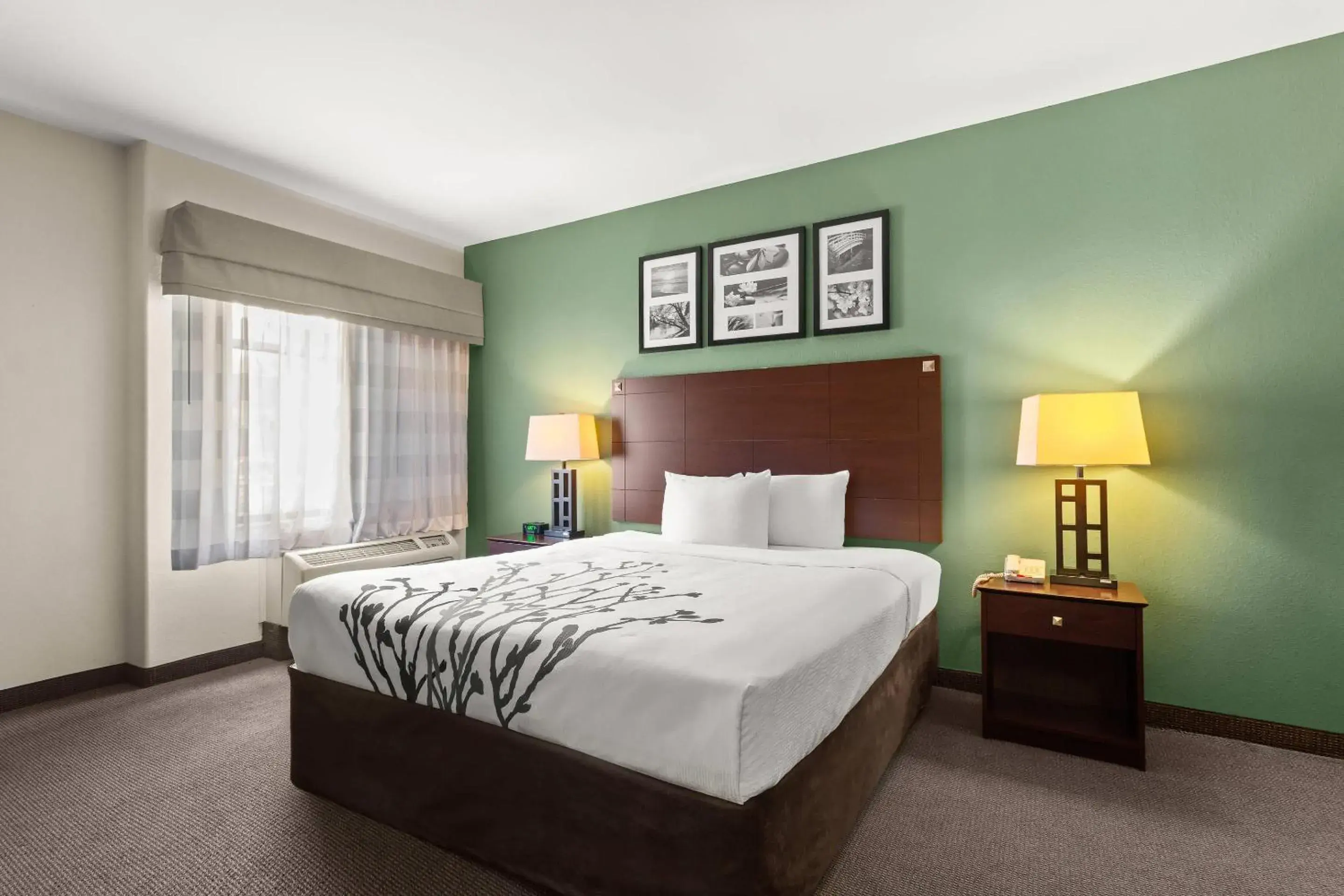 Bedroom, Bed in Sleep Inn & Suites Bush Intercontinental - IAH East Bedroom, Bed in Sleep Inn & Suites Bush Intercontinental - IAH East