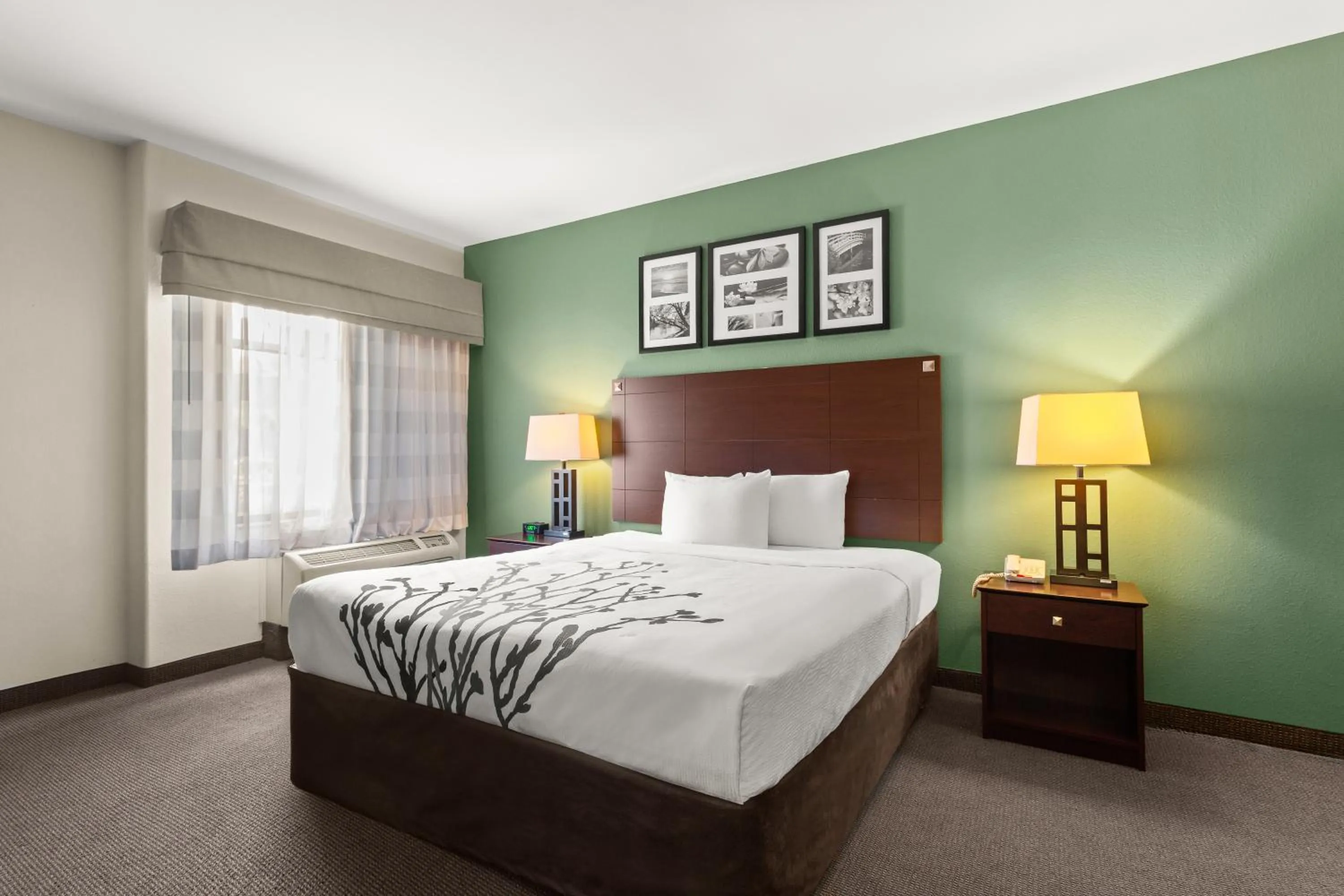 Bed in Sleep Inn & Suites Bush Intercontinental - IAH East