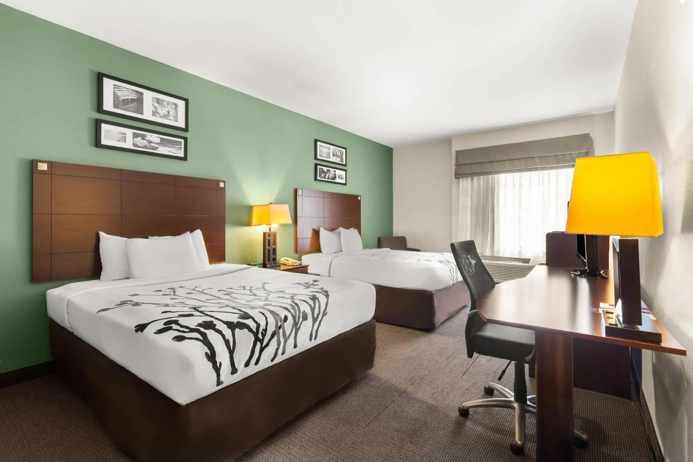 Standard Queen Room with Two Queen Beds - Non Smoking in Sleep Inn & Suites Bush Intercontinental - IAH East Standard Queen Room with Two Queen Beds - Non Smoking in Sleep Inn & Suites Bush Intercontinental - IAH East