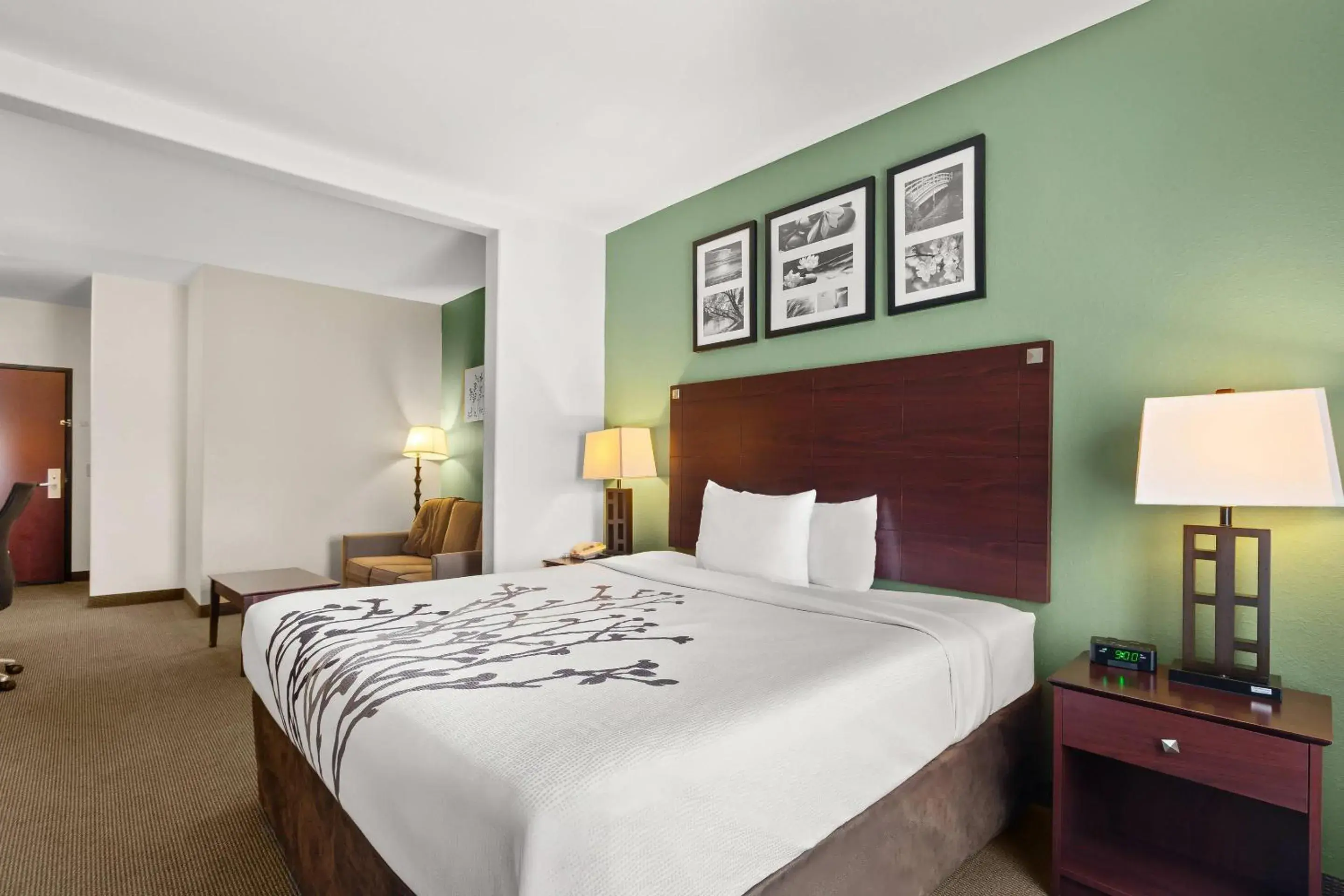 Bedroom, Bed in Sleep Inn & Suites Bush Intercontinental - IAH East Bedroom, Bed in Sleep Inn & Suites Bush Intercontinental - IAH East