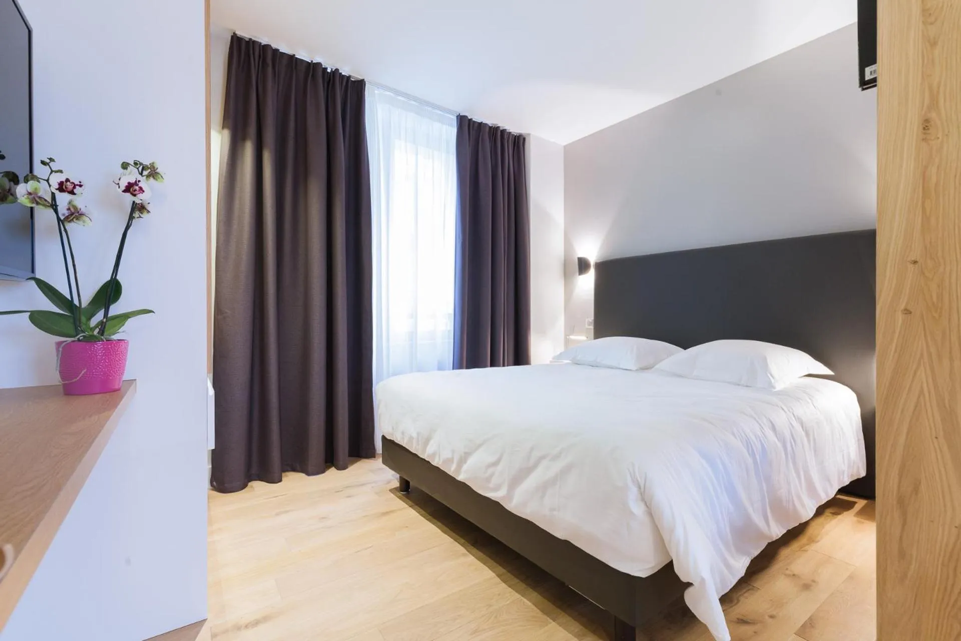 Bed in T2 bis luxe hyper centre piscine