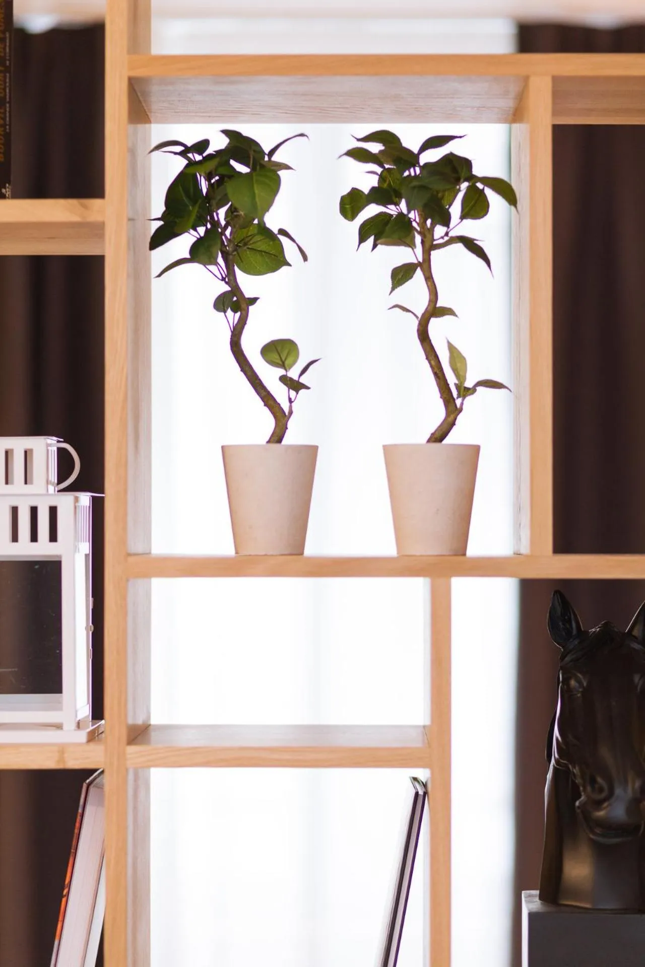 Decorative detail in T2 bis luxe hyper centre piscine