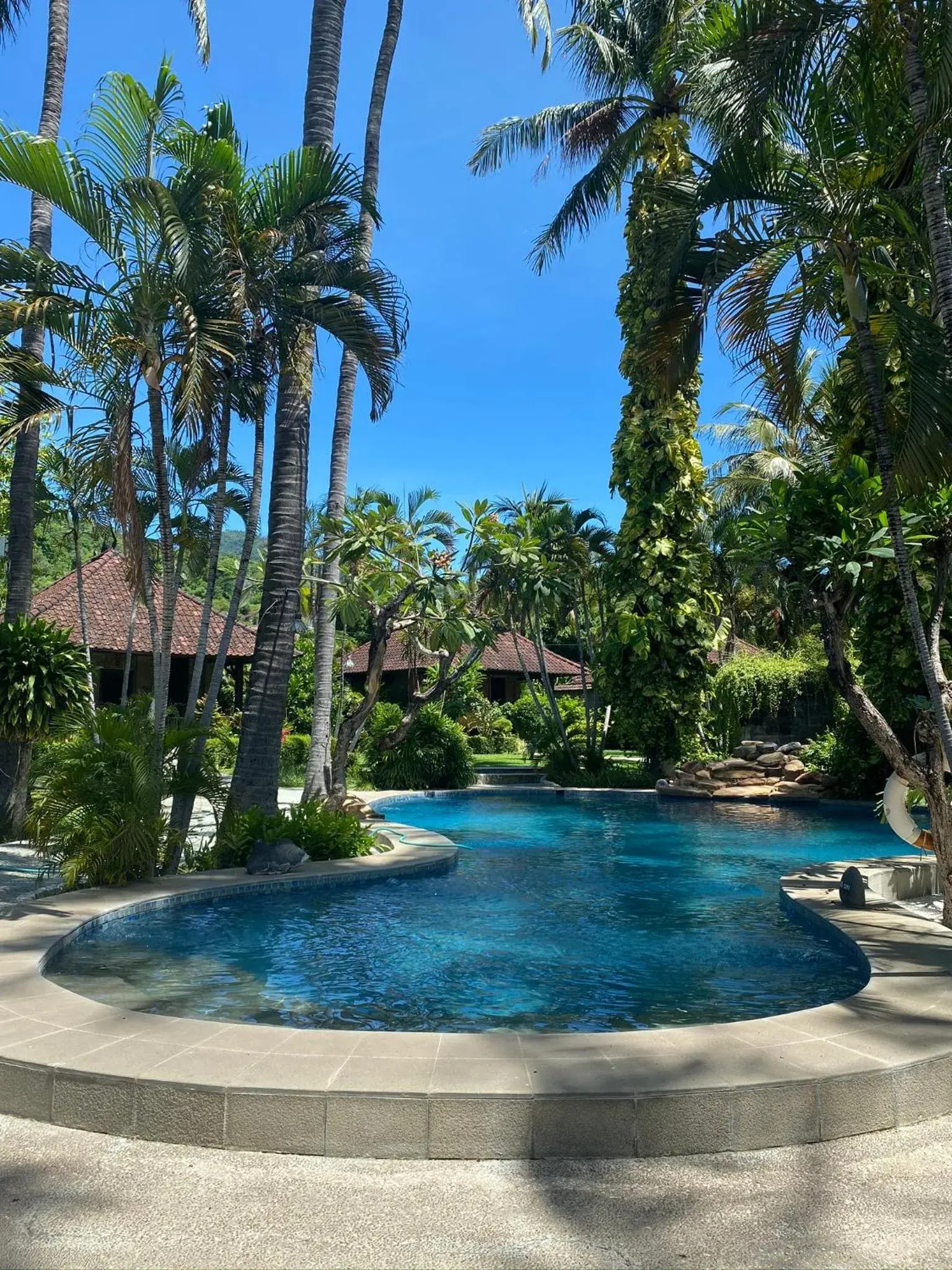 Swimming pool in Coral View Villas Swimming pool in Coral View Villas