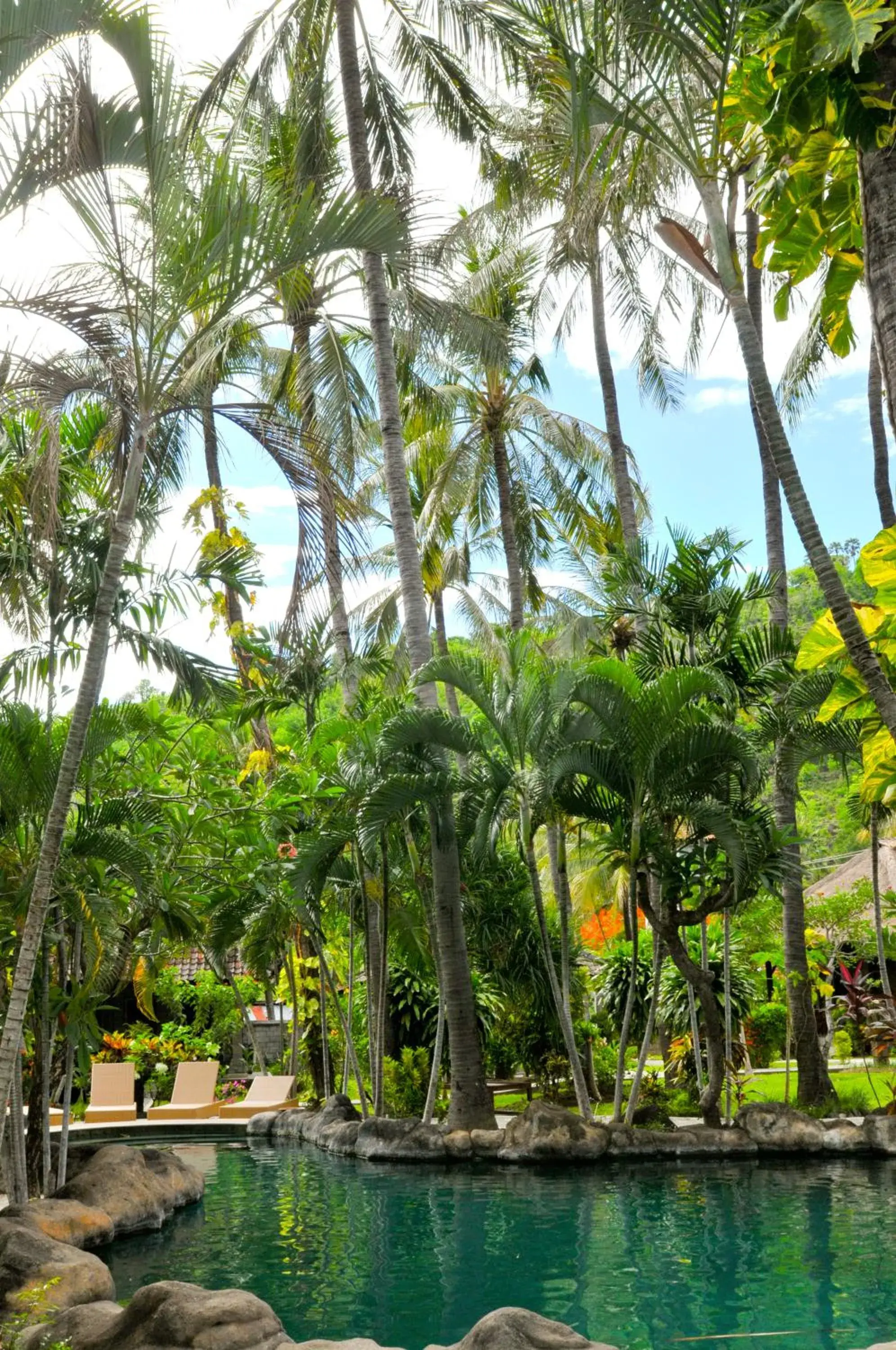 Pool view in Coral View Villas Pool view in Coral View Villas