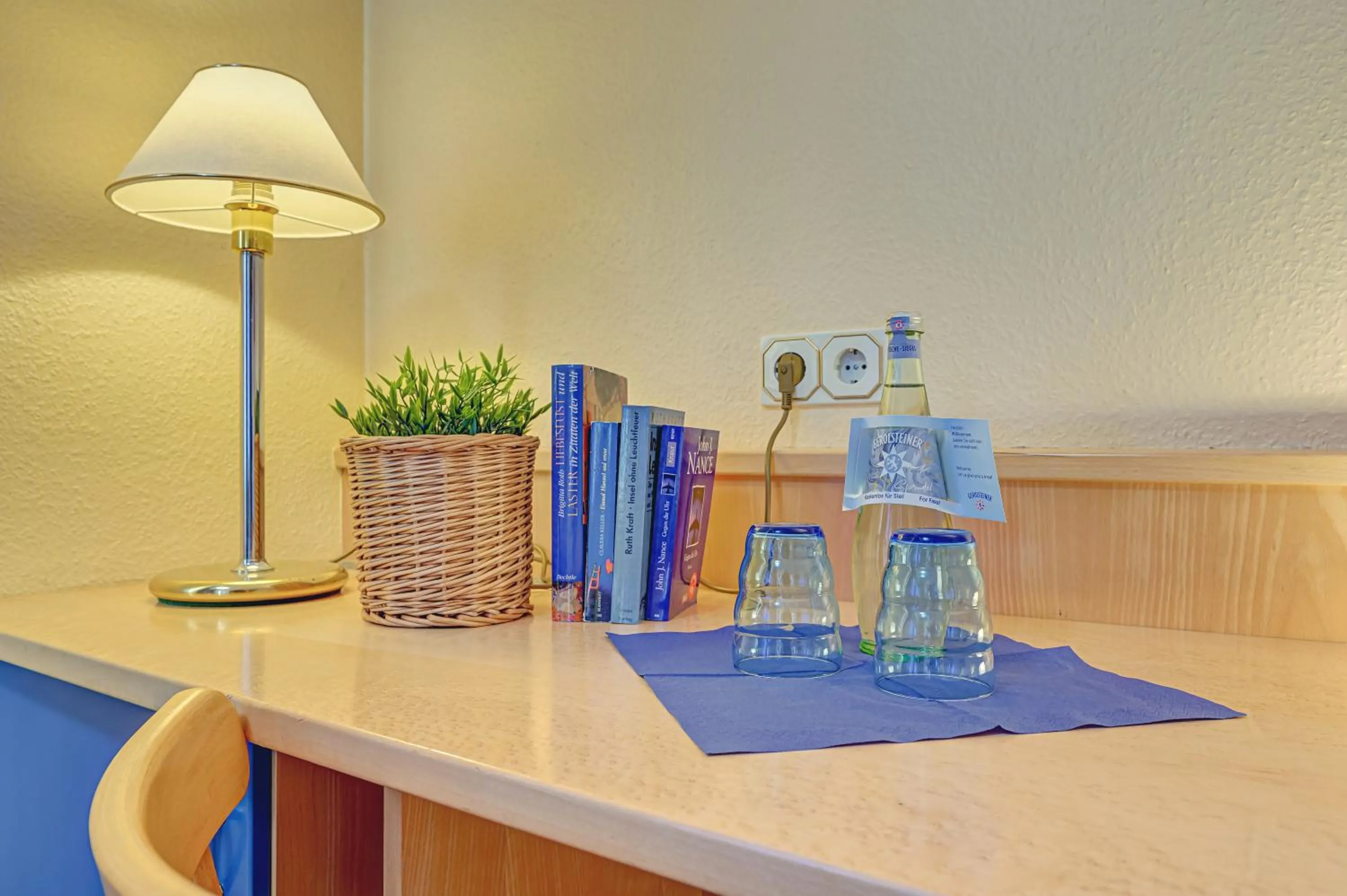 Single Room - single occupancy in Hotel an der Stadtmauer