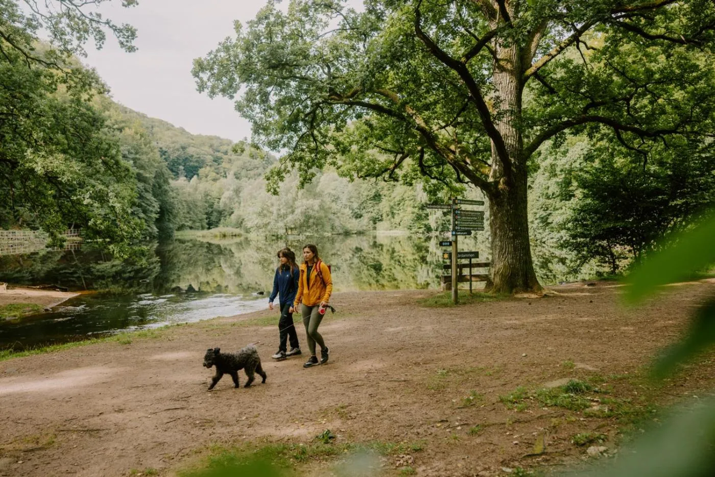 Natural landscape in STF Villa Söderåsen B&B