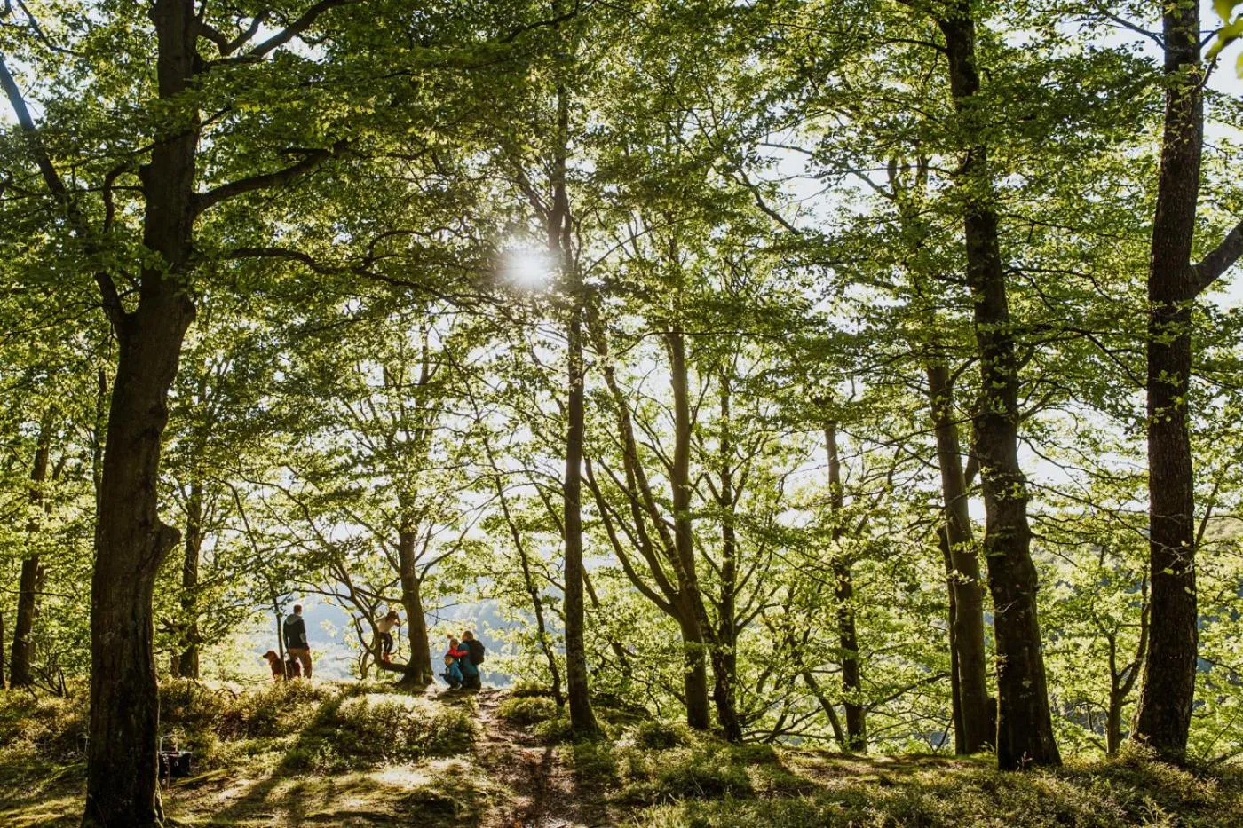 Nearby landmark in STF Villa Söderåsen B&B