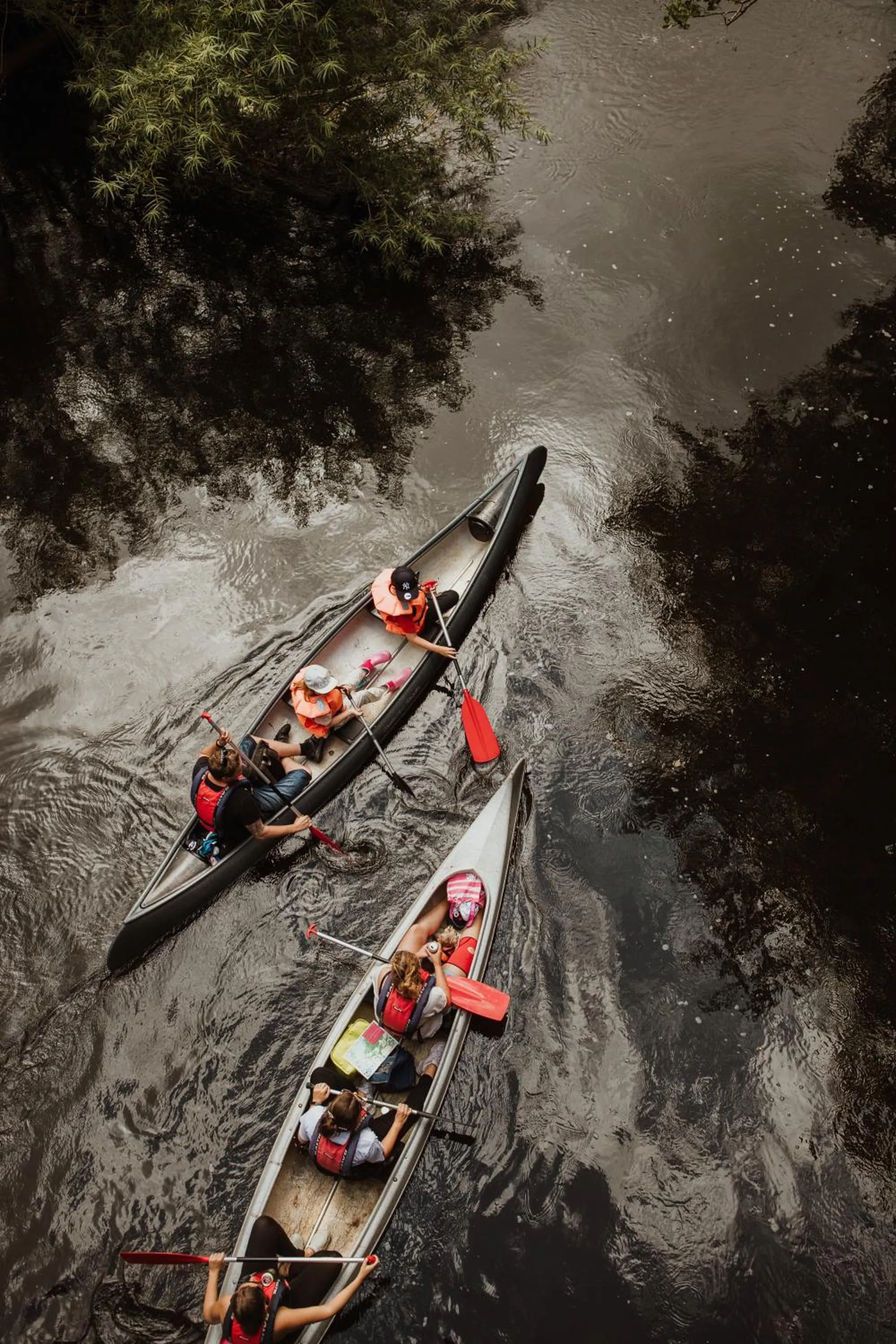 Activities in STF Villa Söderåsen B&B