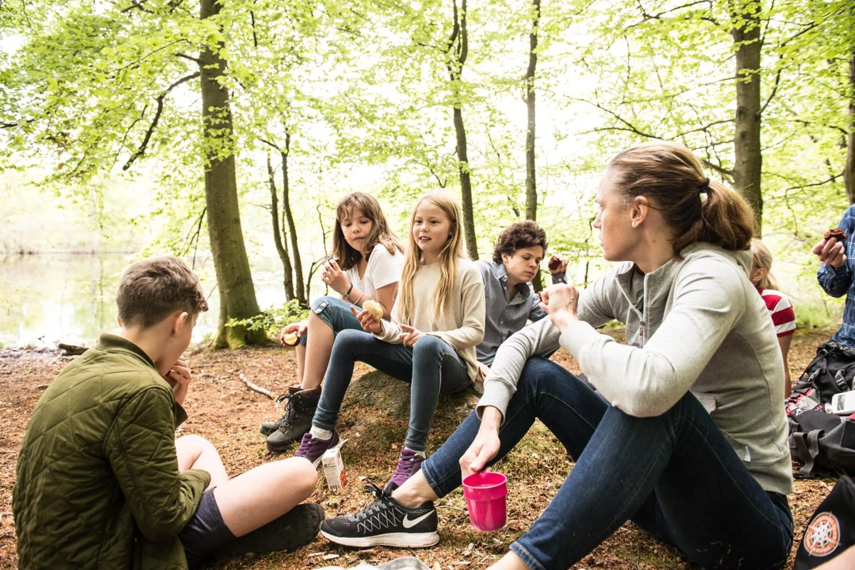 Natural landscape in STF Villa Söderåsen B&B
