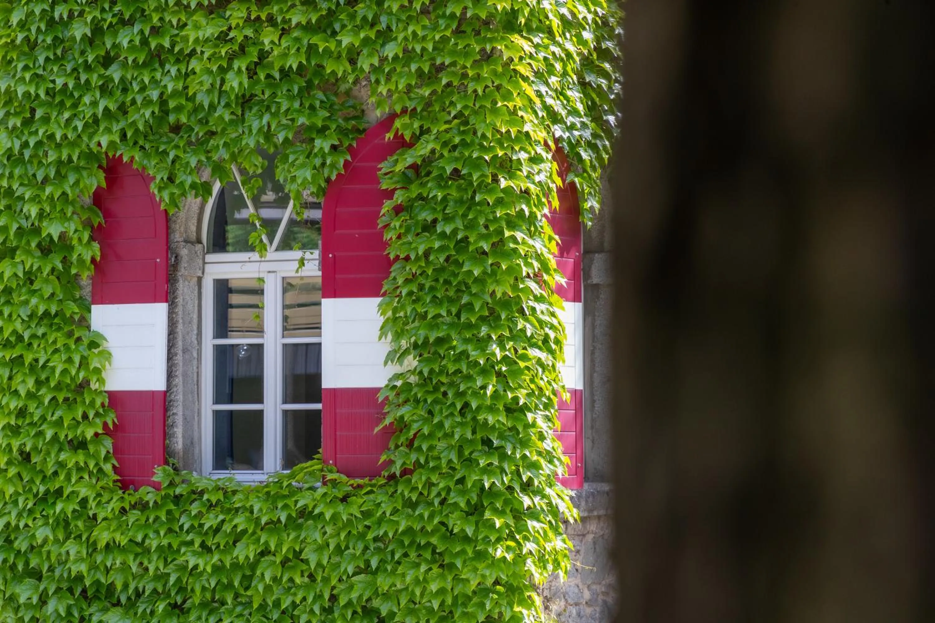 Property building in Hotel Sachsenklemme