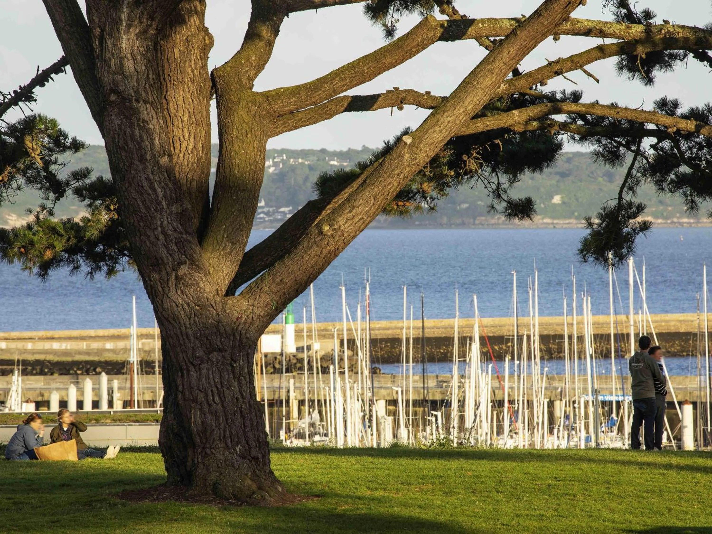 Other in ibis Brest Centre