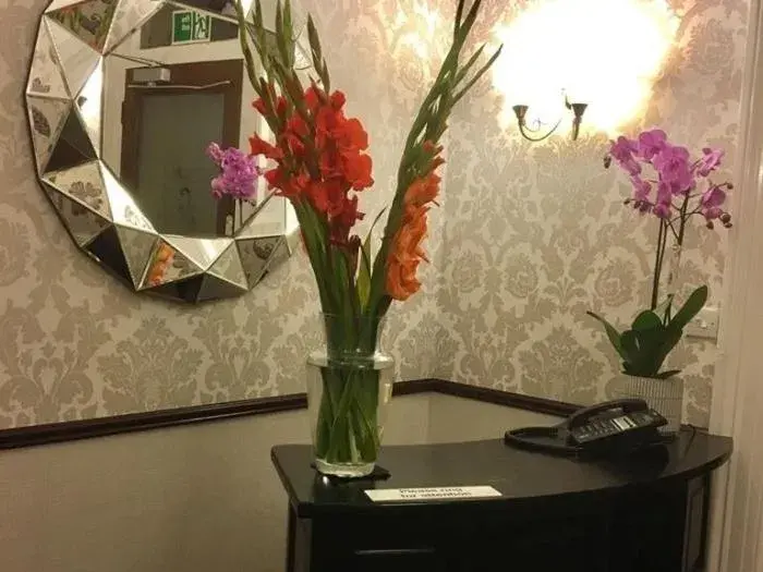 Lobby or reception in Chaston Manor Hotel Lobby or reception in Chaston Manor Hotel