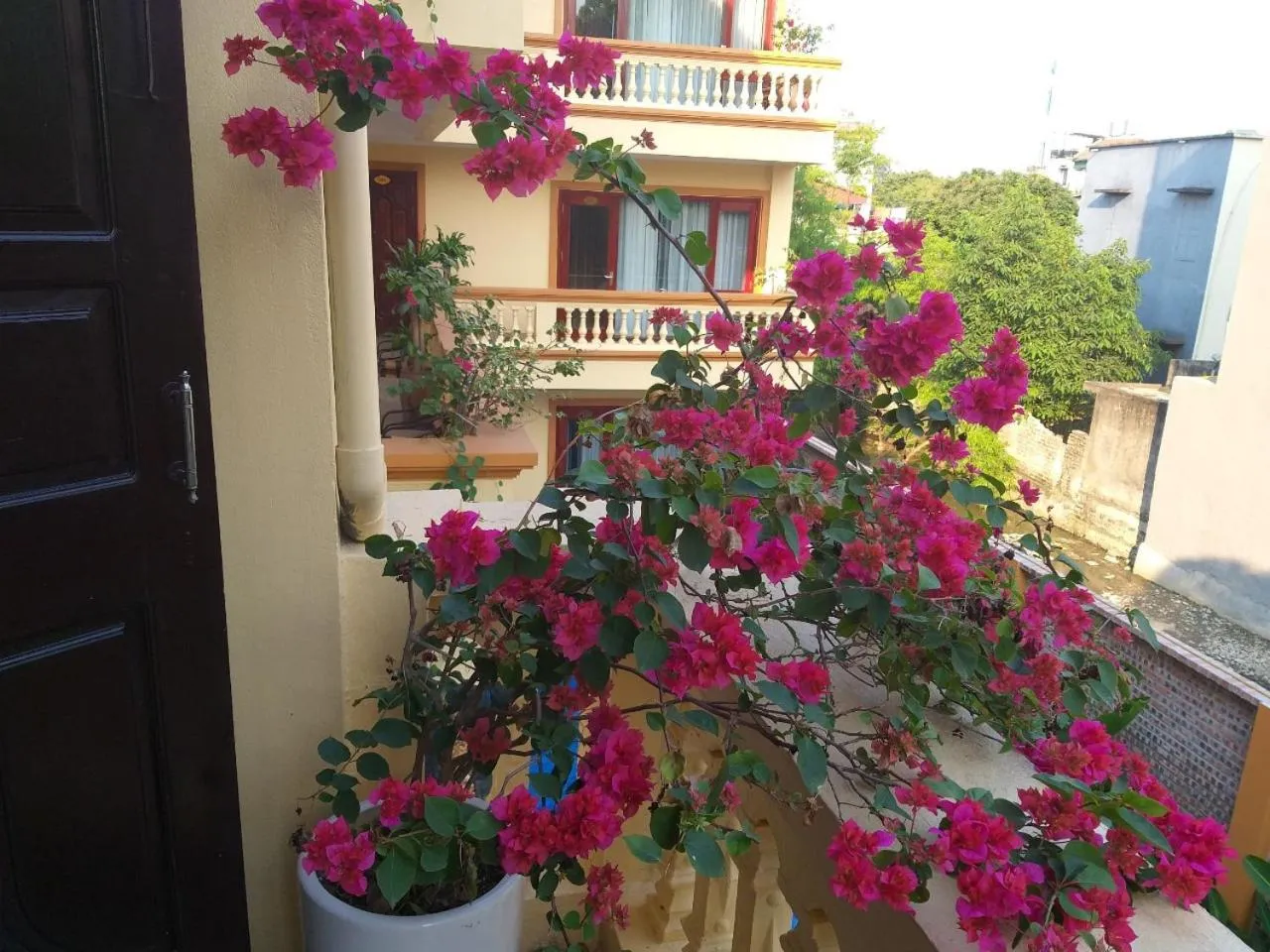 View (from property/room) in Lys Homestay