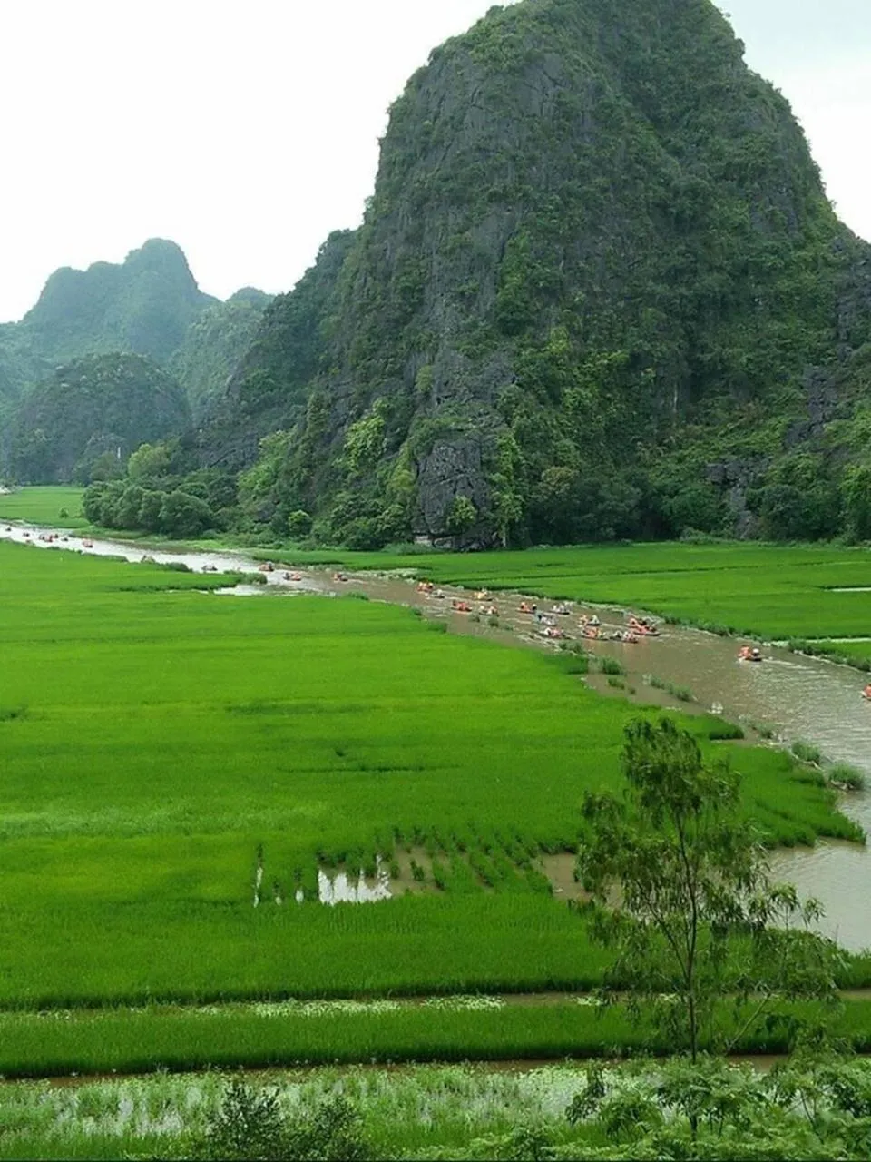 Nearby landmark in Lys Homestay