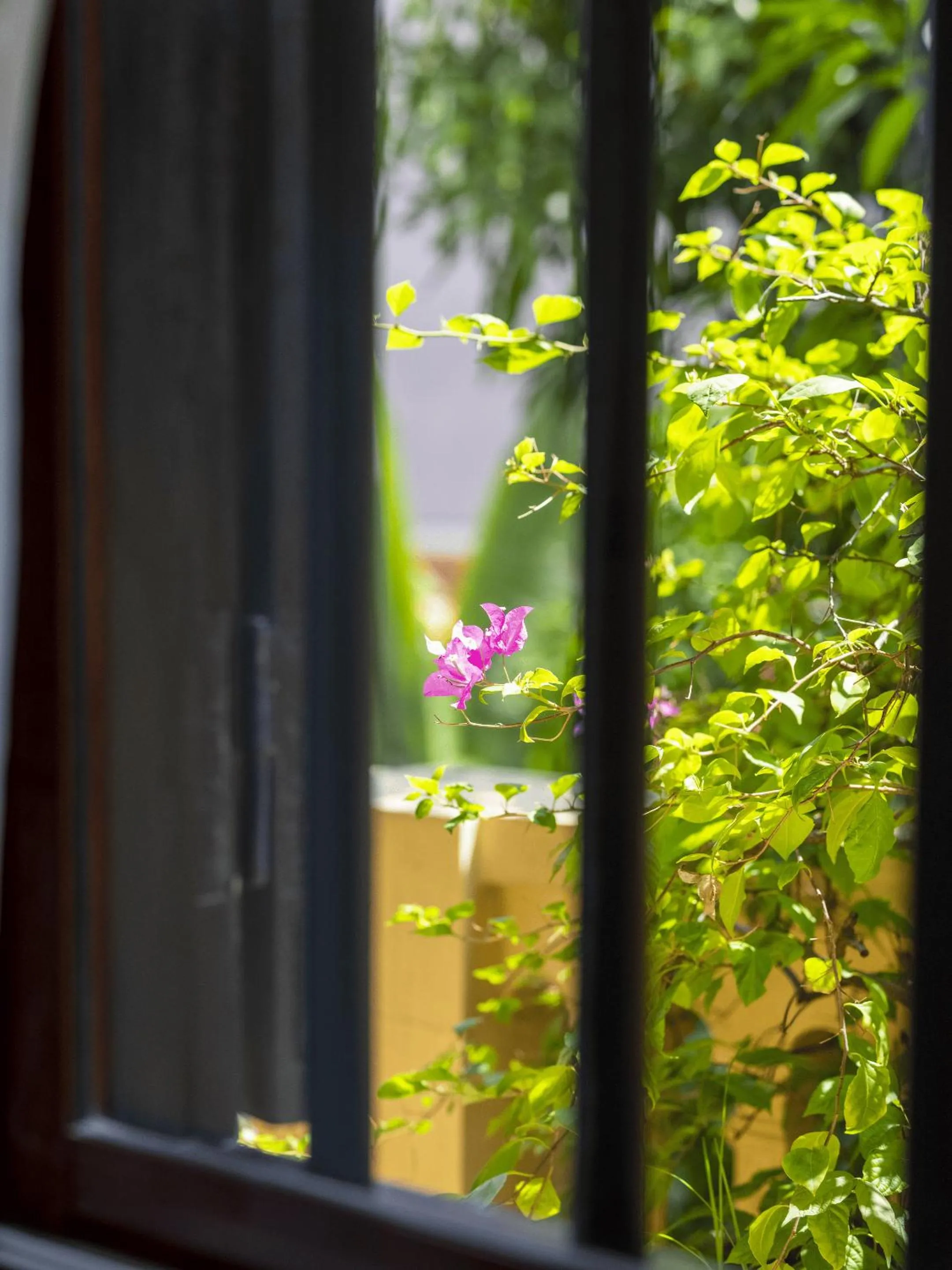 Balcony/Terrace in Lys Homestay