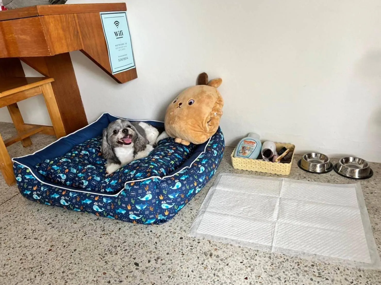 Pets in Bangsaphan Resort