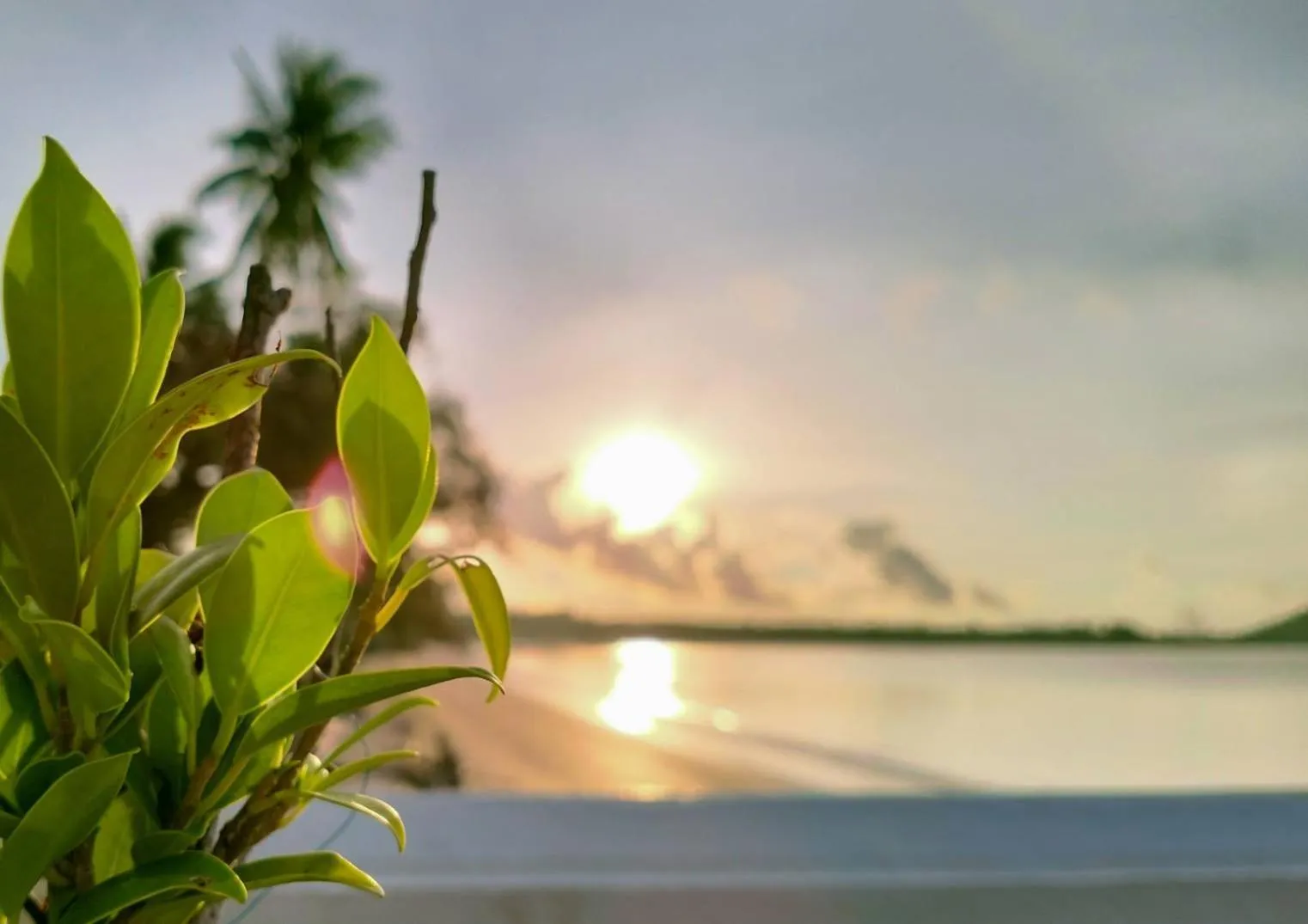 Restaurant/places to eat in Bangsaphan Resort