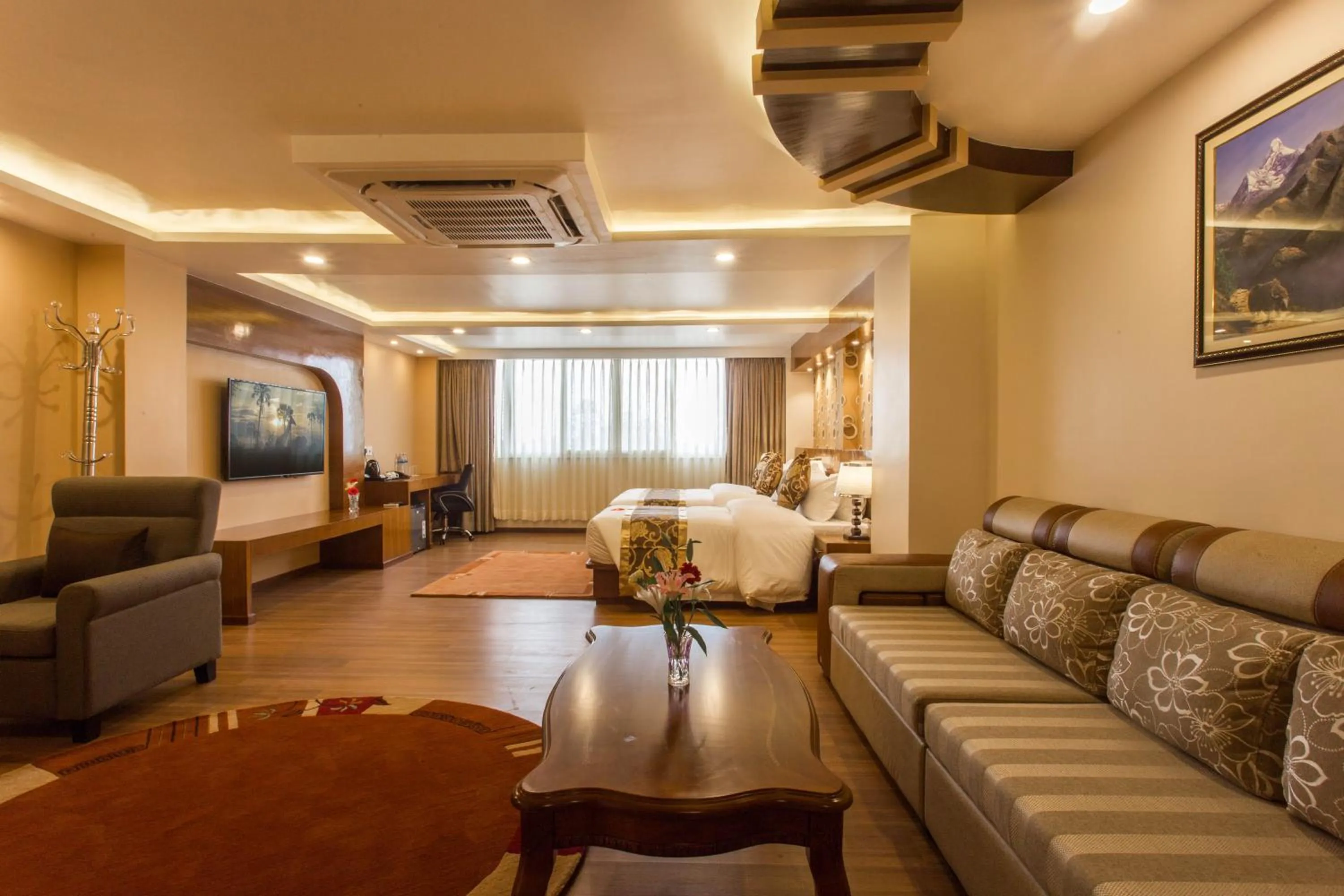 Photo of the whole room in Hotel Buddy