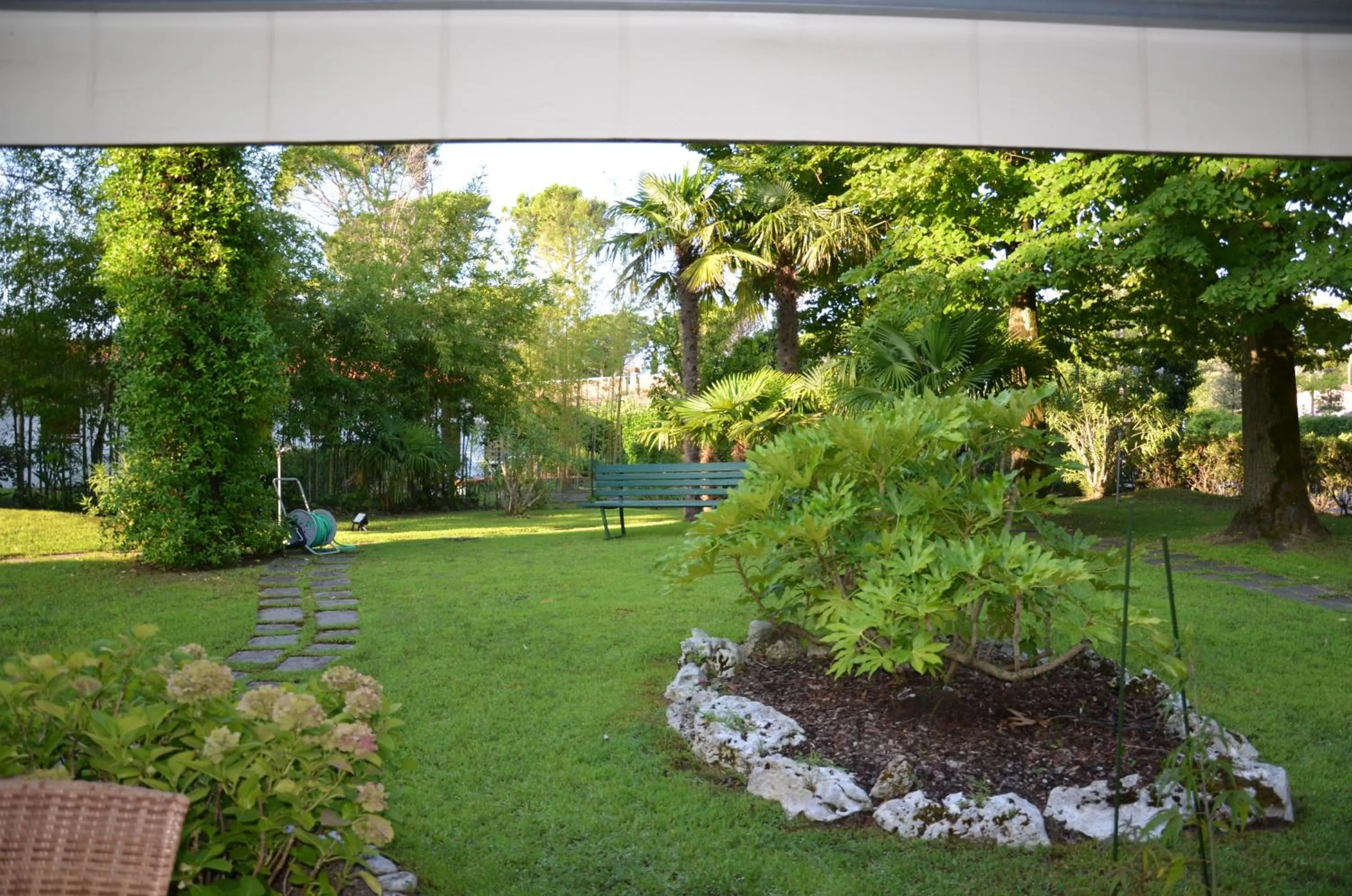 Garden in Hotel Horizonte