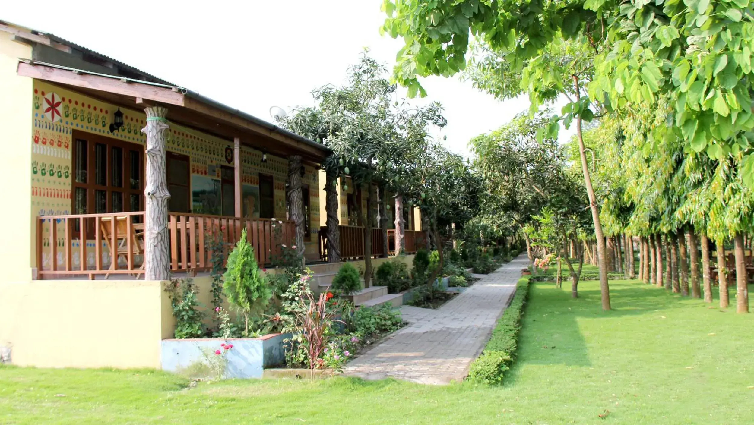 Budget Double or Twin Room - single occupancy in Rhino Land Jungle Lodge Budget Double or Twin Room - single occupancy in Rhino Land Jungle Lodge