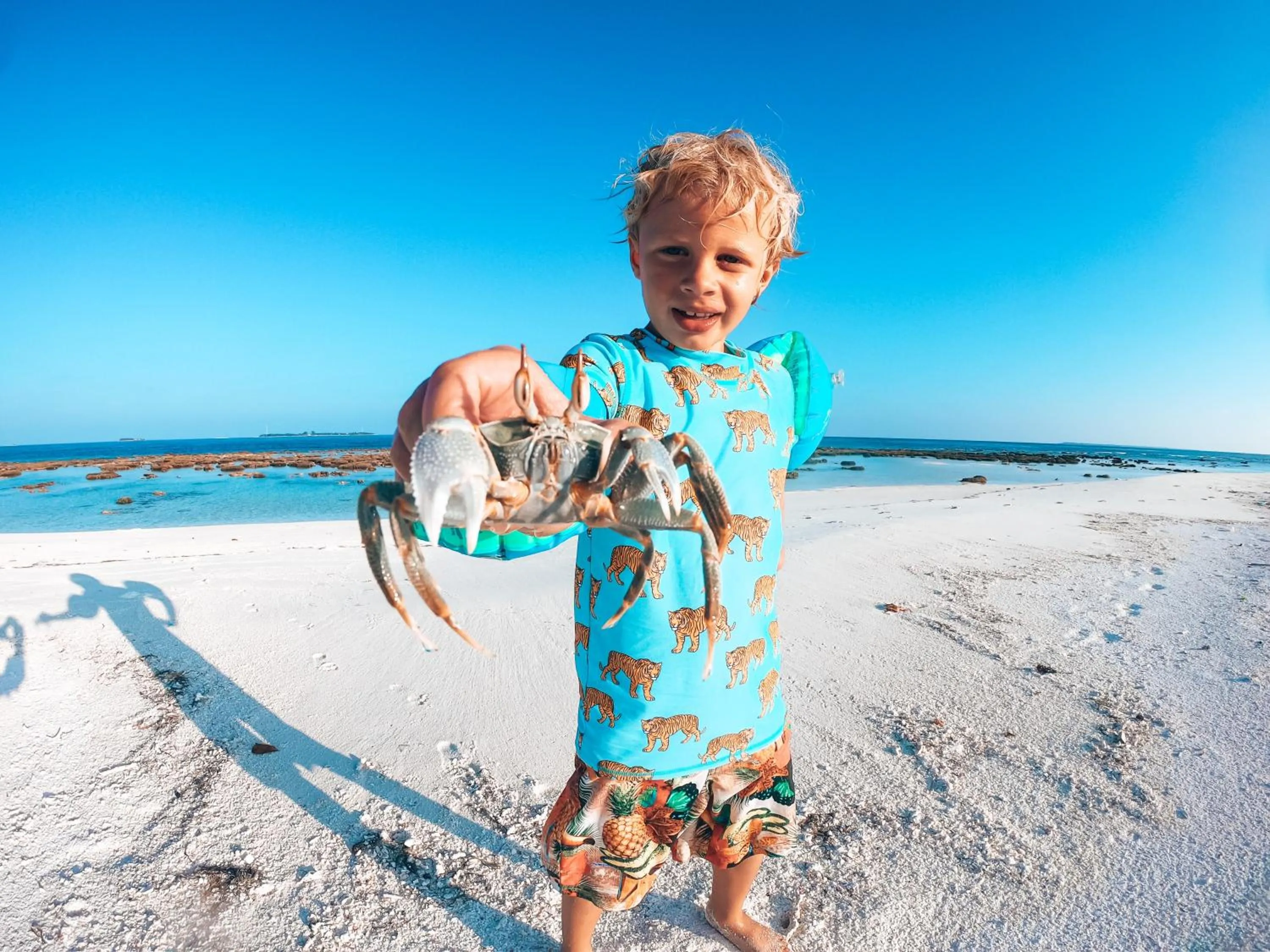 Beach in Bliss Dhigurah