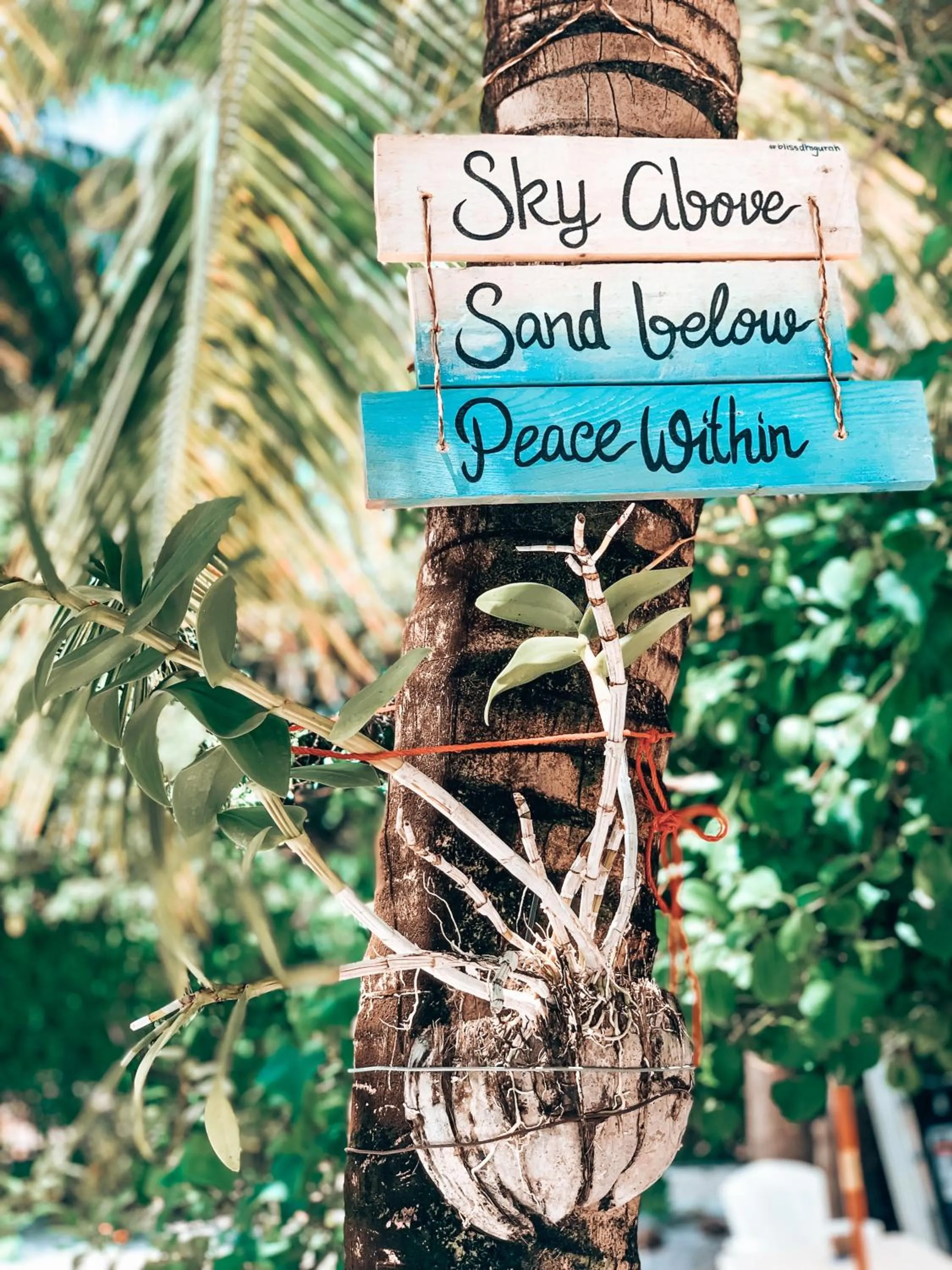 Nearby landmark in Bliss Dhigurah