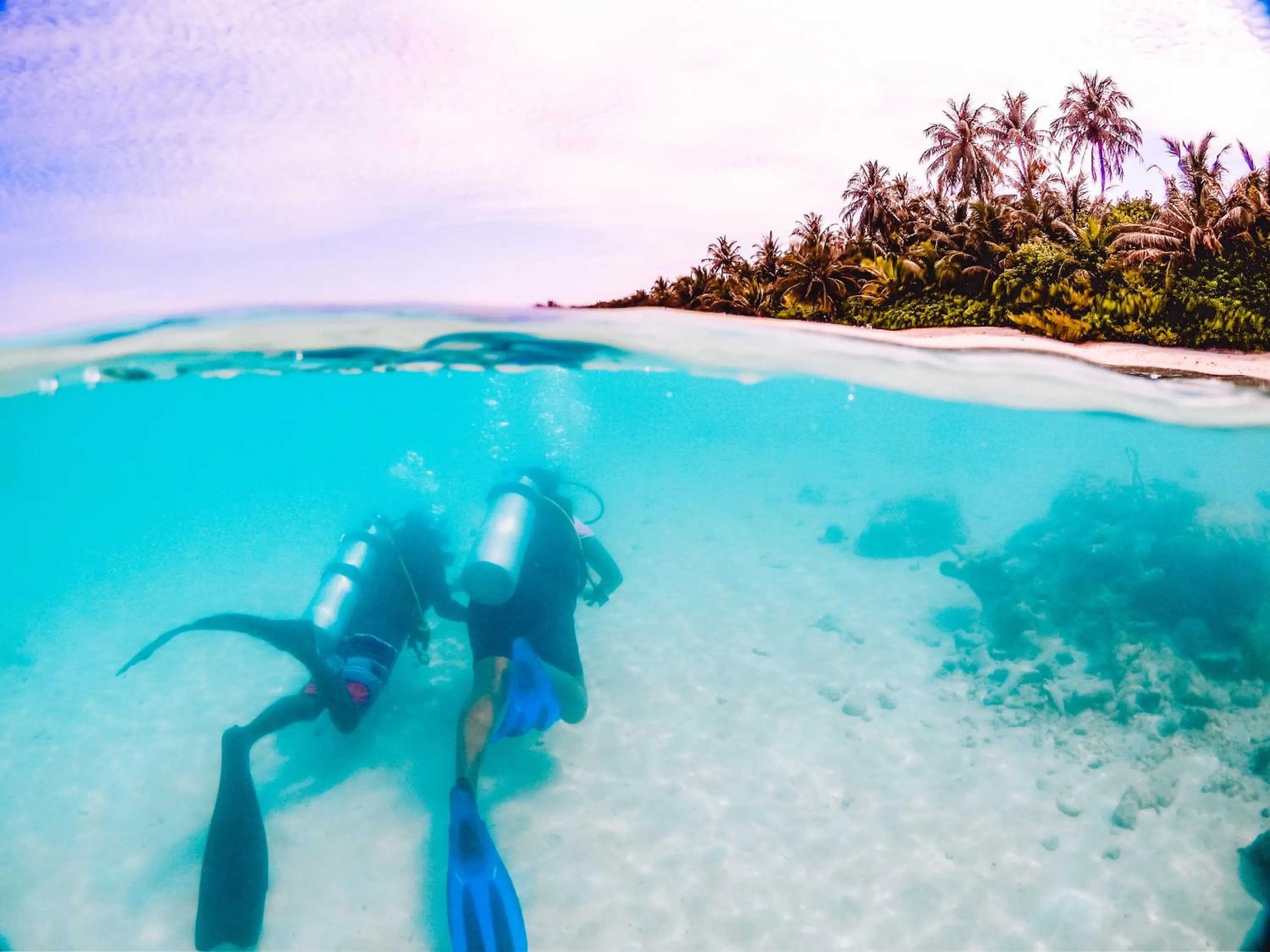 Diving in Bliss Dhigurah