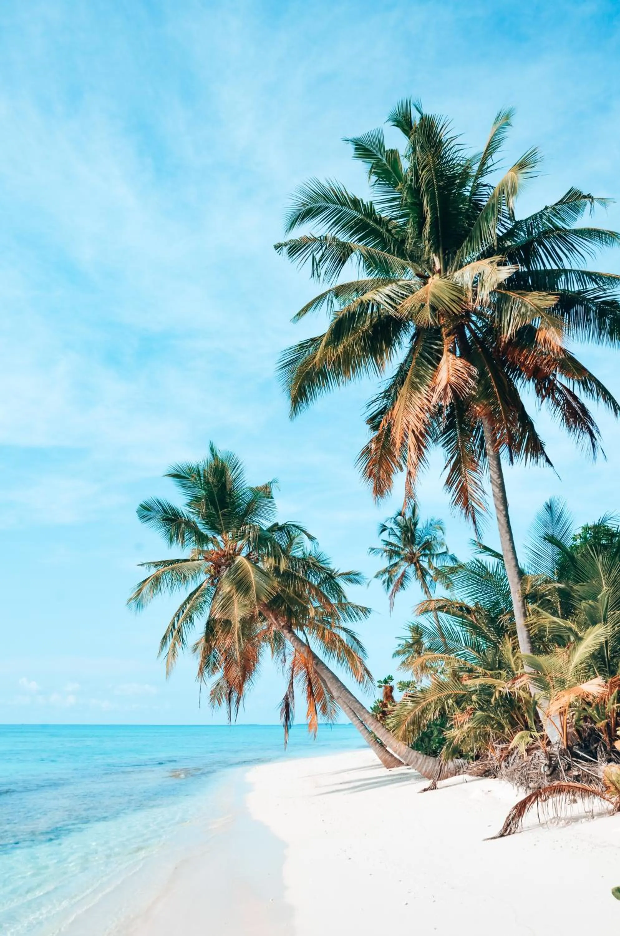 Natural landscape in Bliss Dhigurah