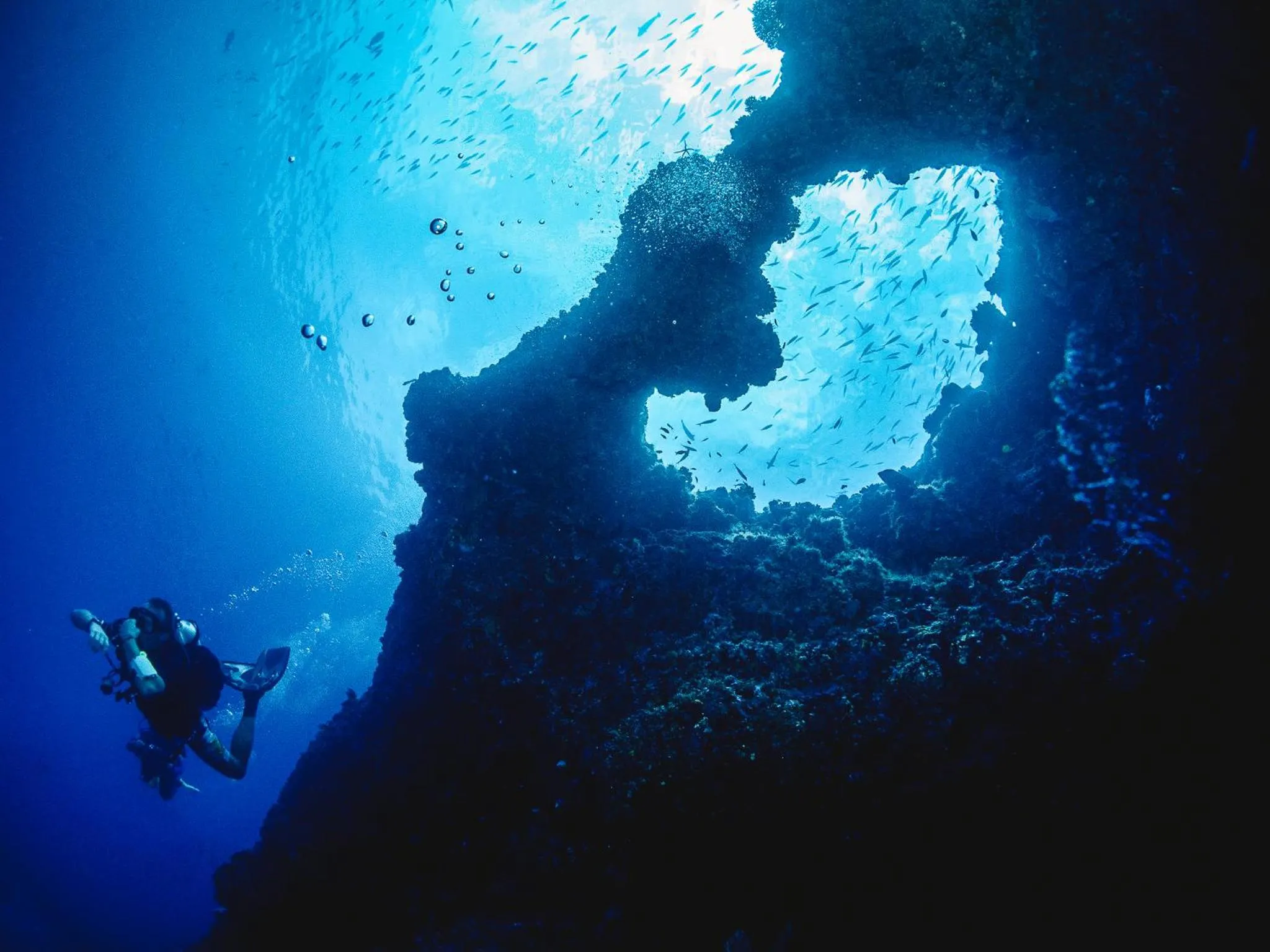 Diving in Bliss Dhigurah