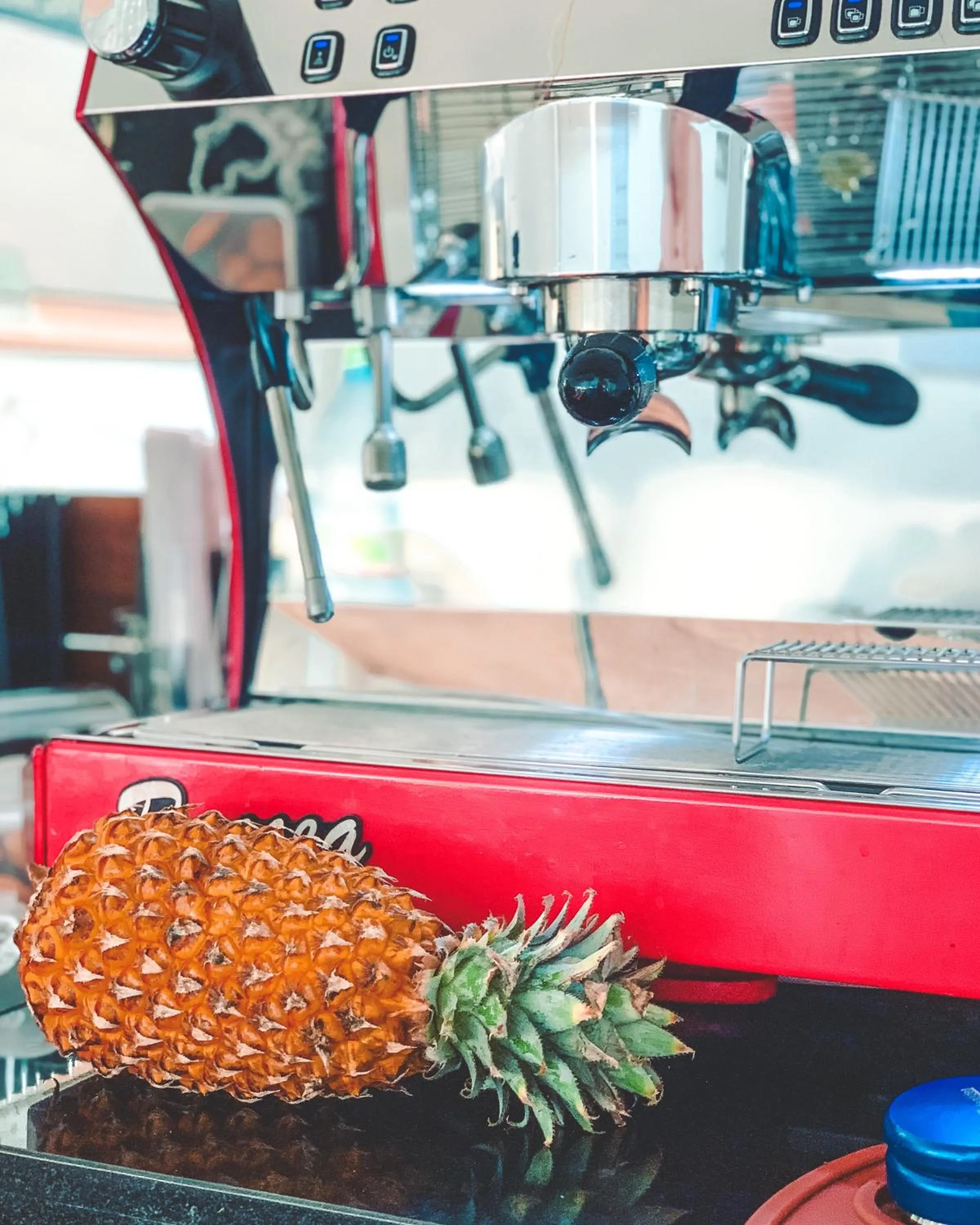 Drinks in Bliss Dhigurah